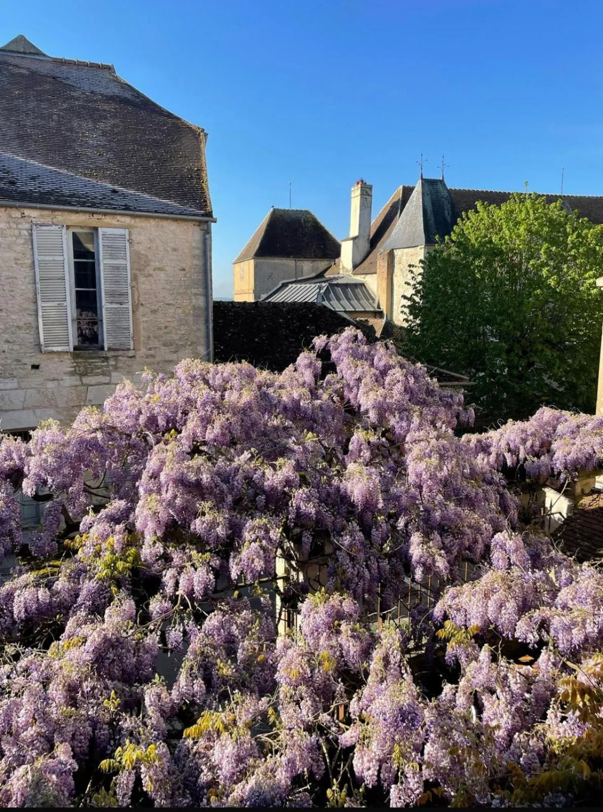 Les Glycines Vézelay