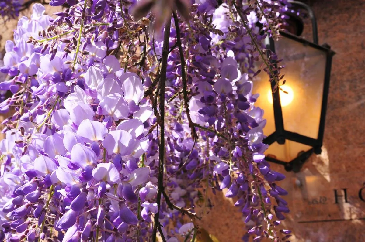 Property building in Les Glycines Vézelay