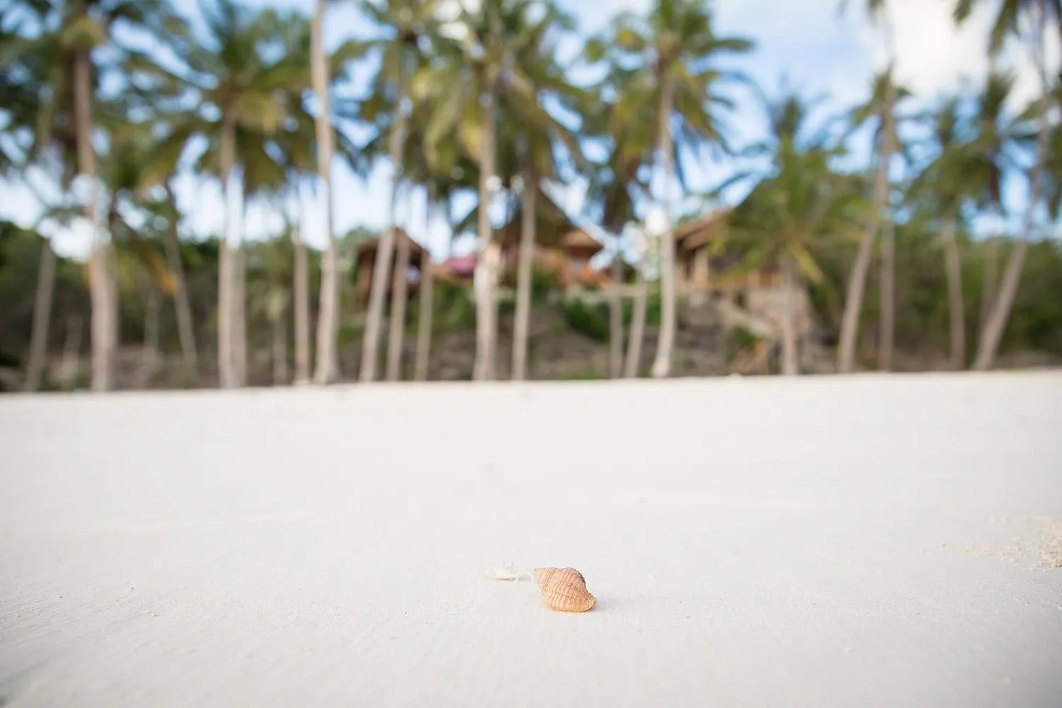 Beach in BaraCoco Bungalows