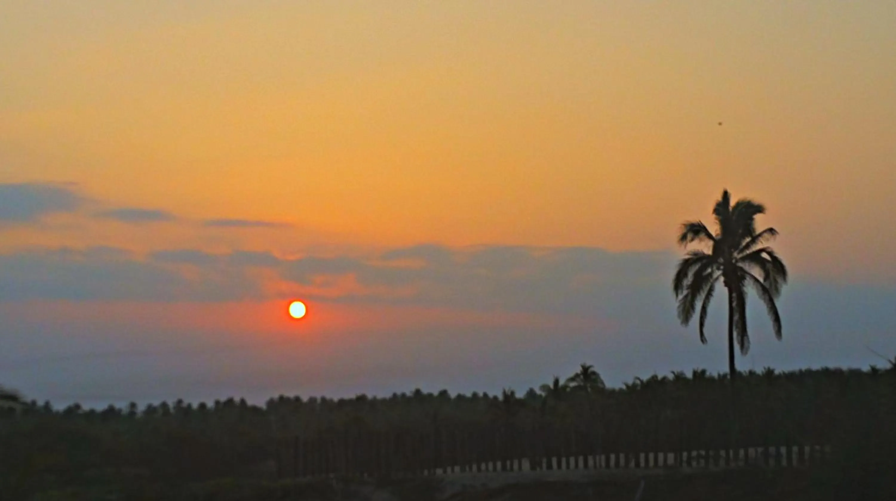 Natural landscape in Villa Star of the Sea