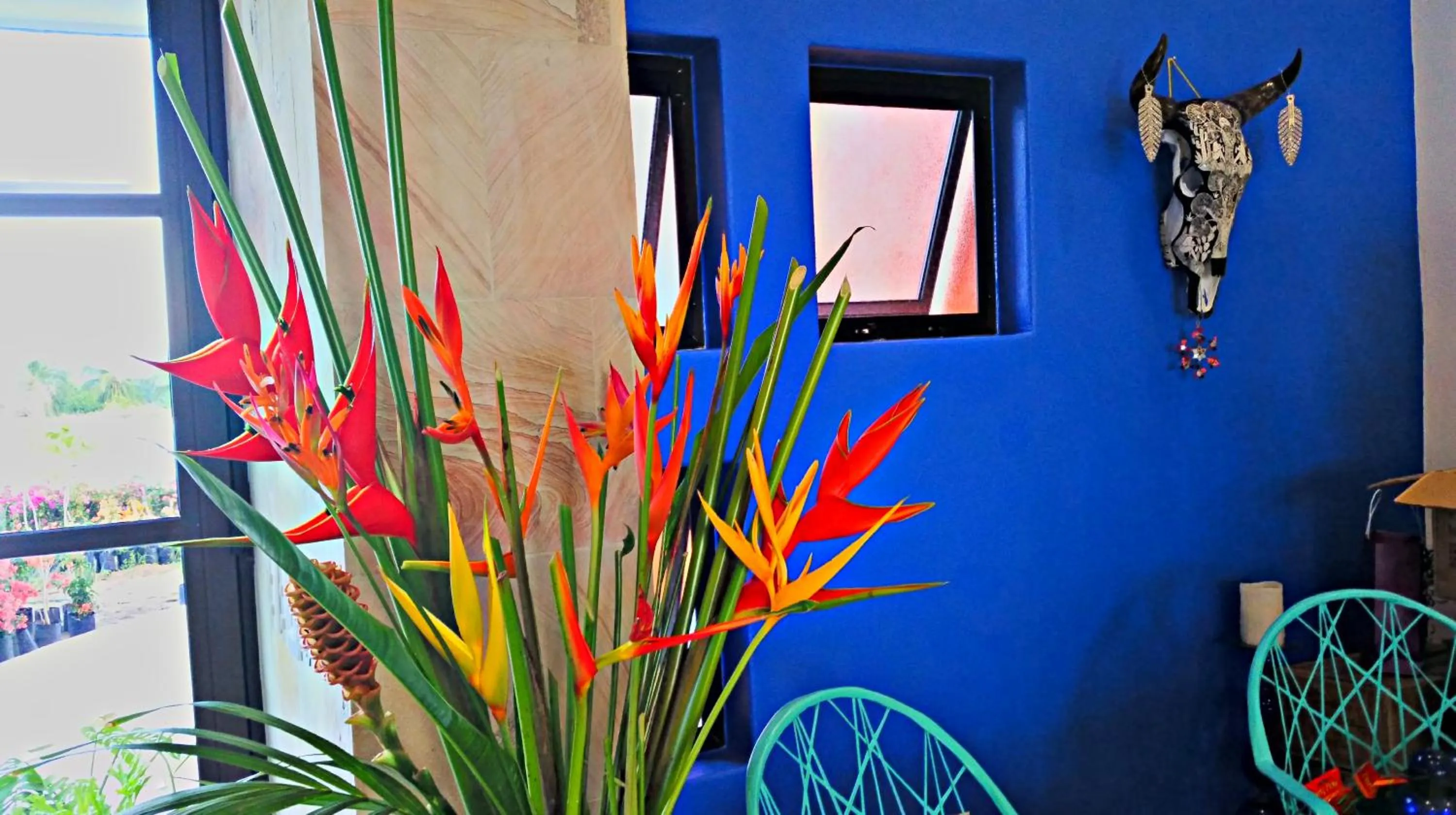 Property building in Villa Star of the Sea