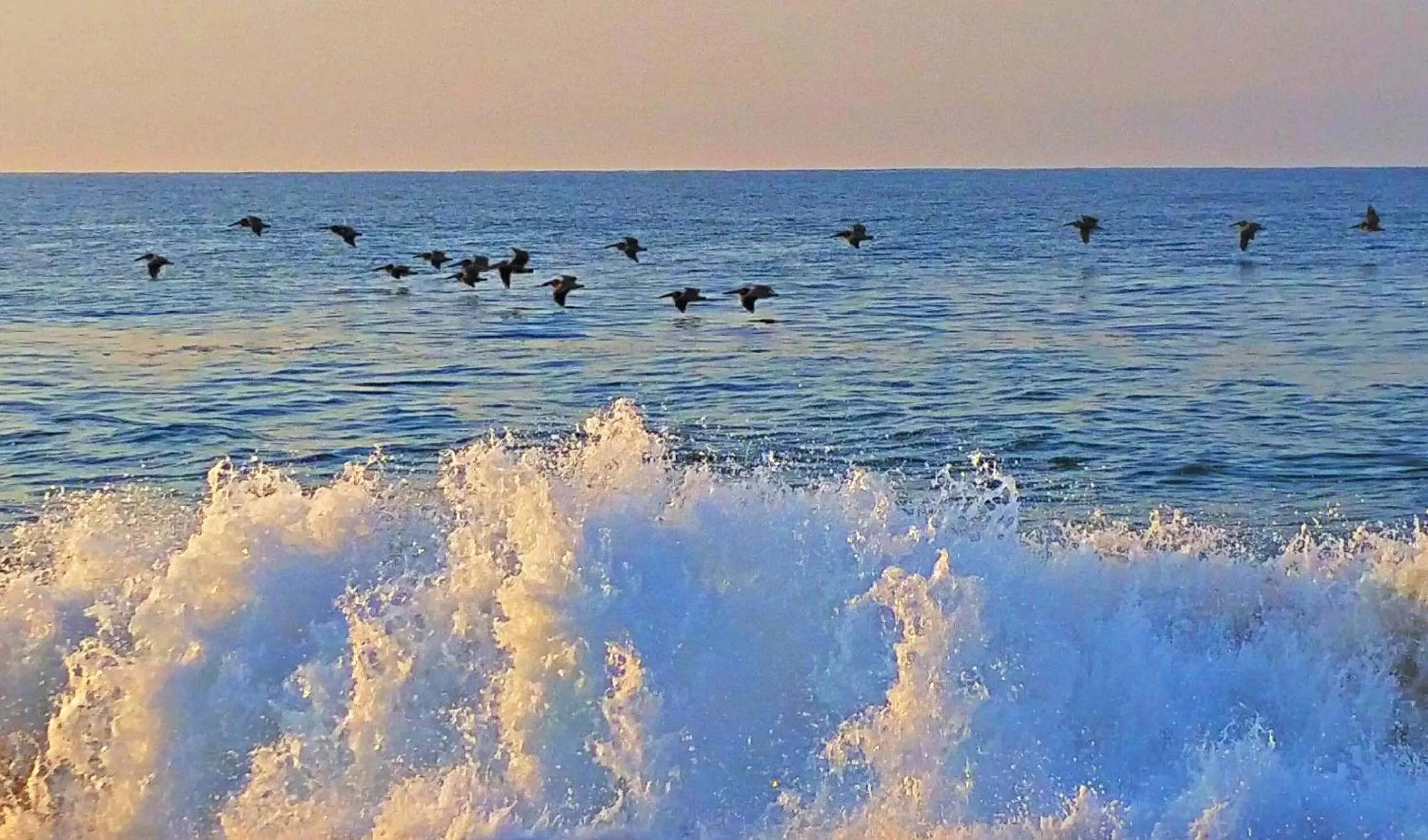 Natural landscape in Villa Star of the Sea