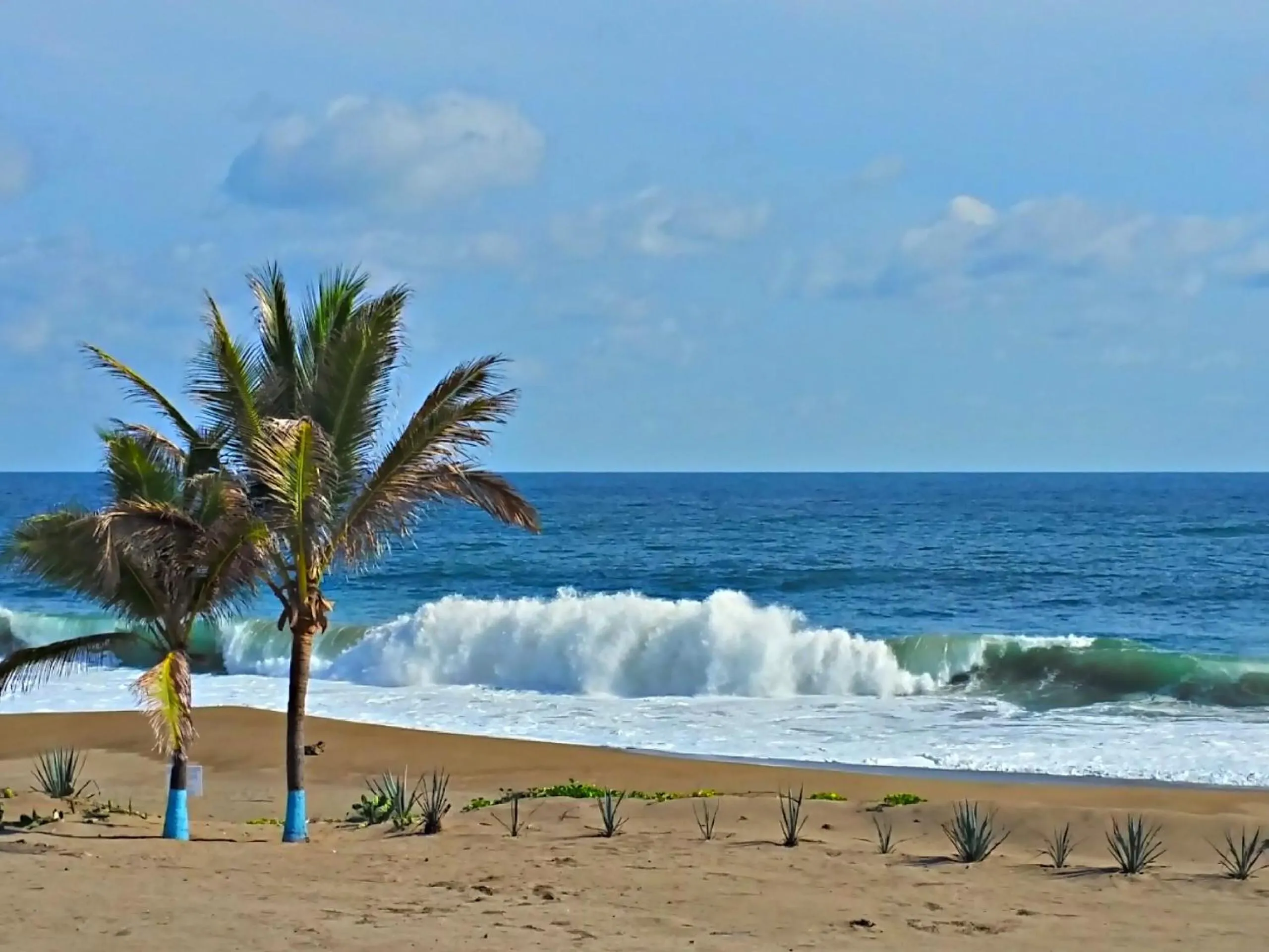 Beach in Villa Star of the Sea