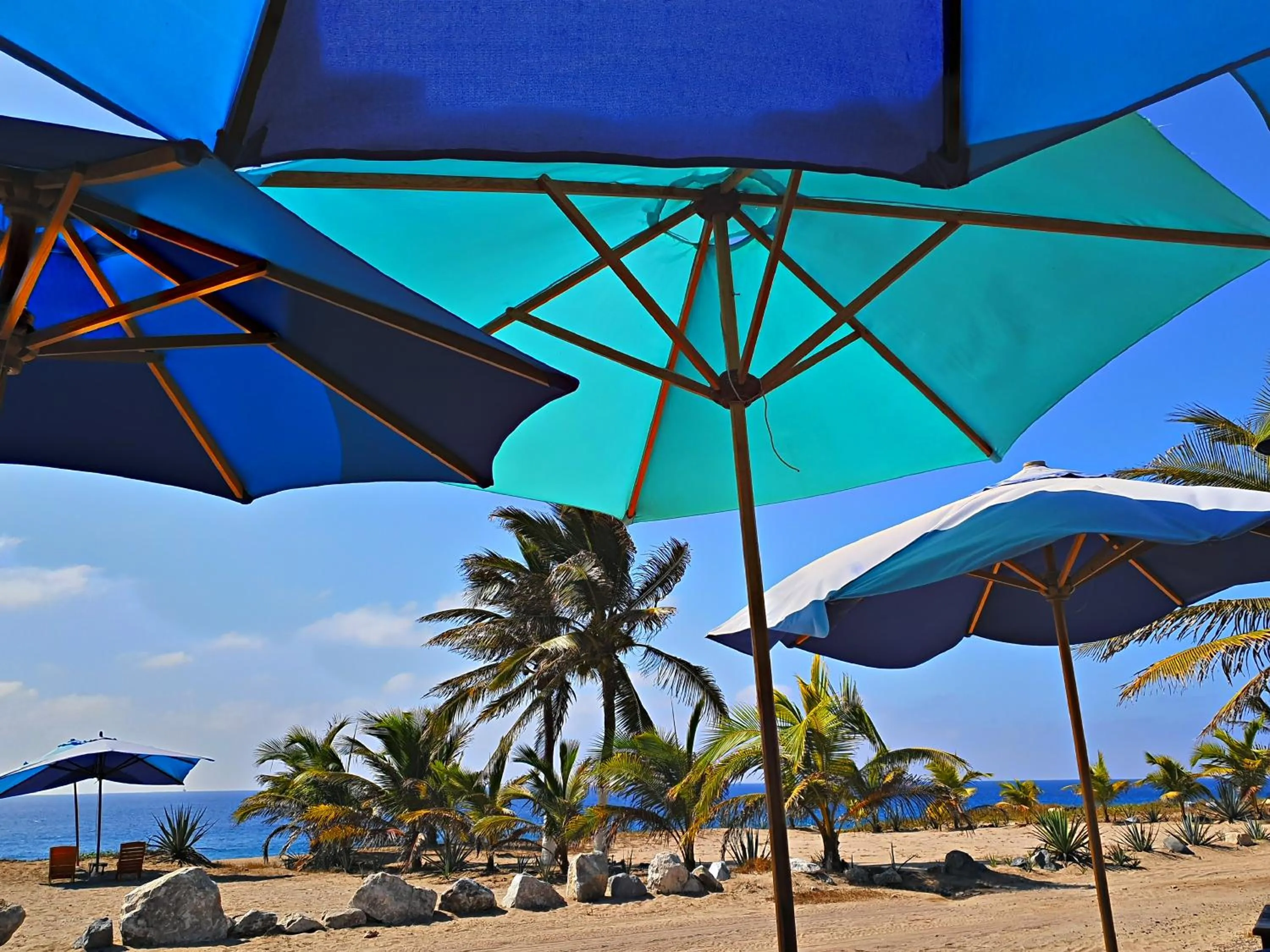 Restaurant/places to eat in Villa Star of the Sea