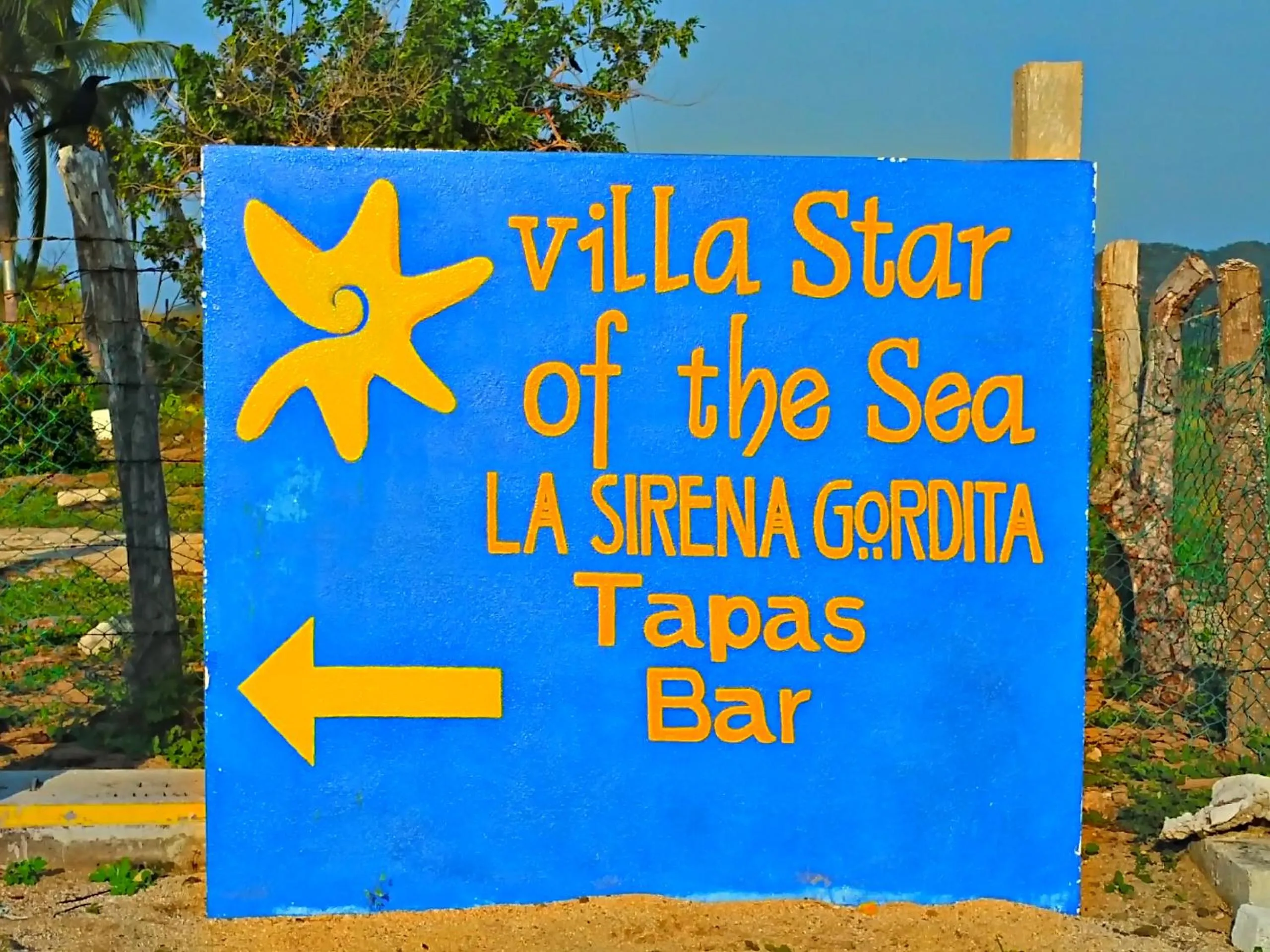 Restaurant/places to eat in Villa Star of the Sea
