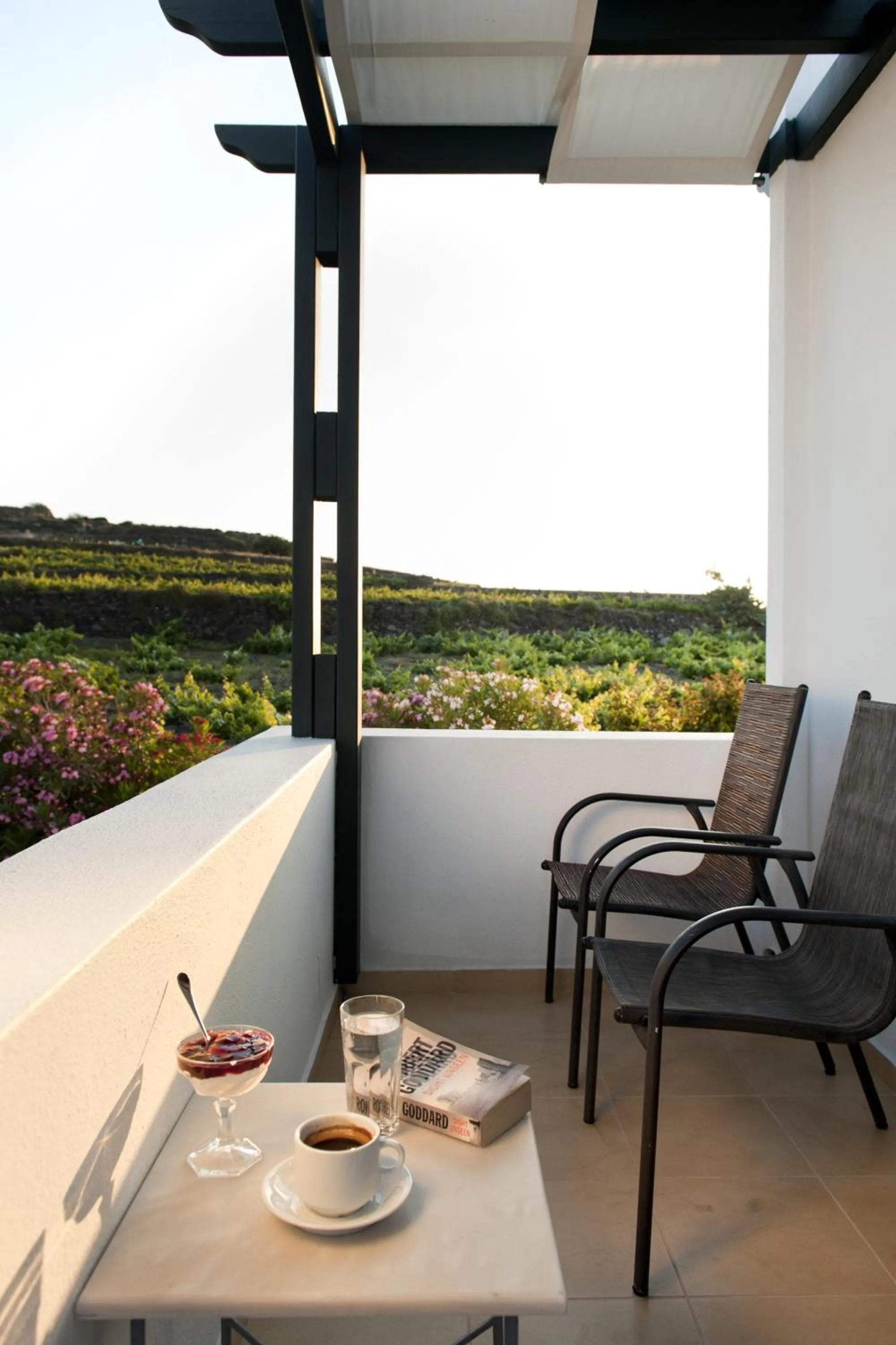 Balcony/Terrace in Anthonas Apartments