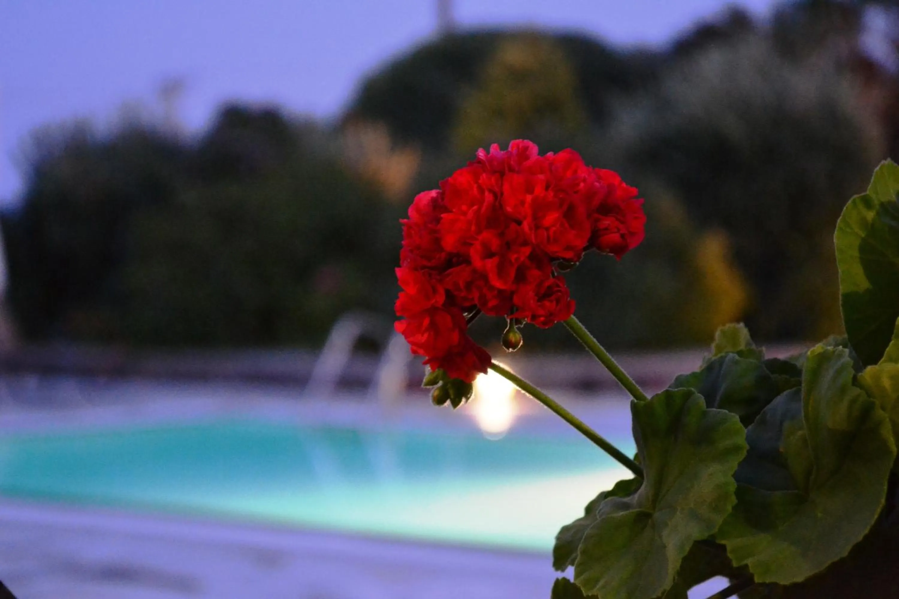 Decorative detail in Anthonas Apartments