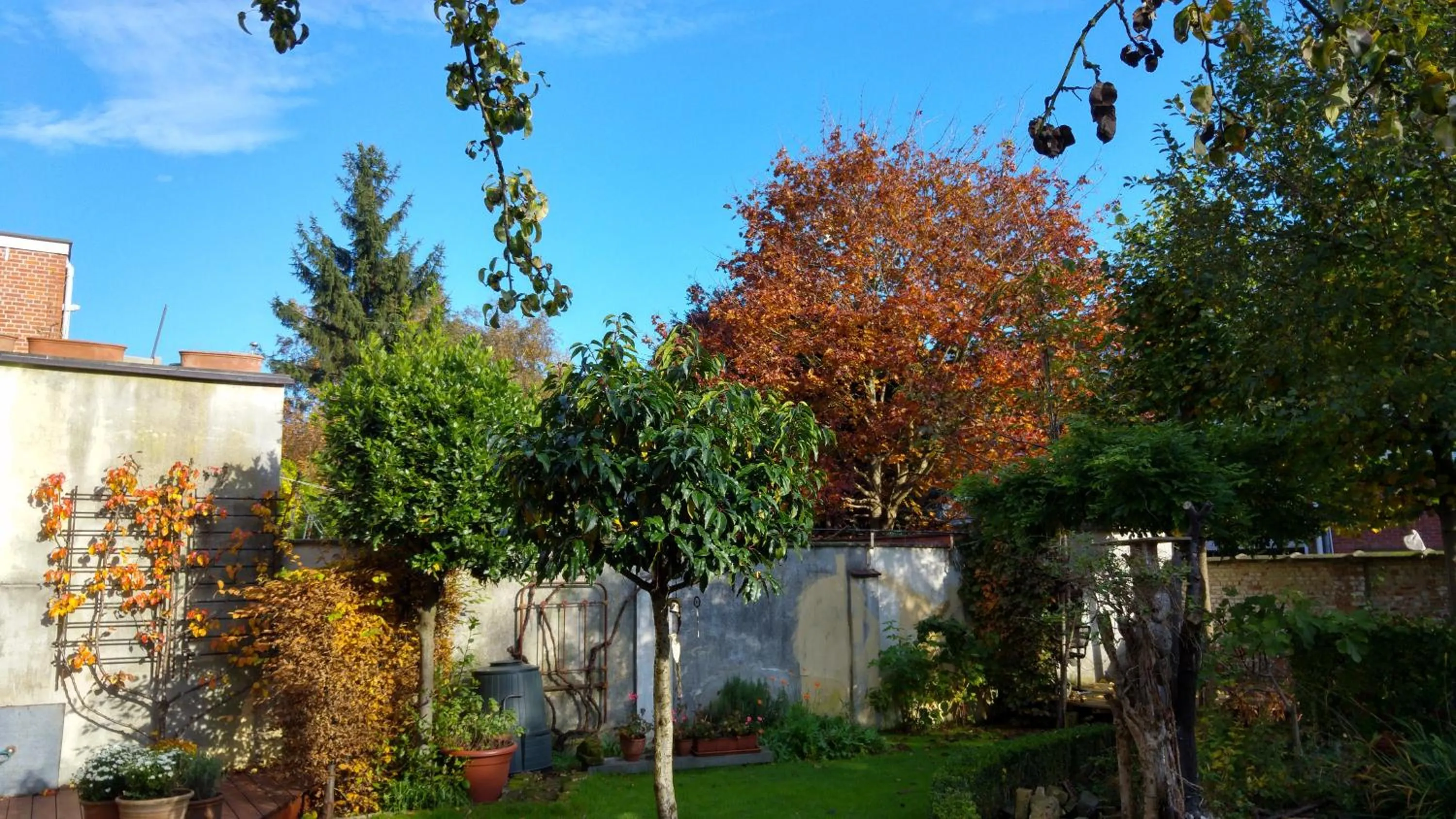 Garden in Bed & Breakfast Exterlaer