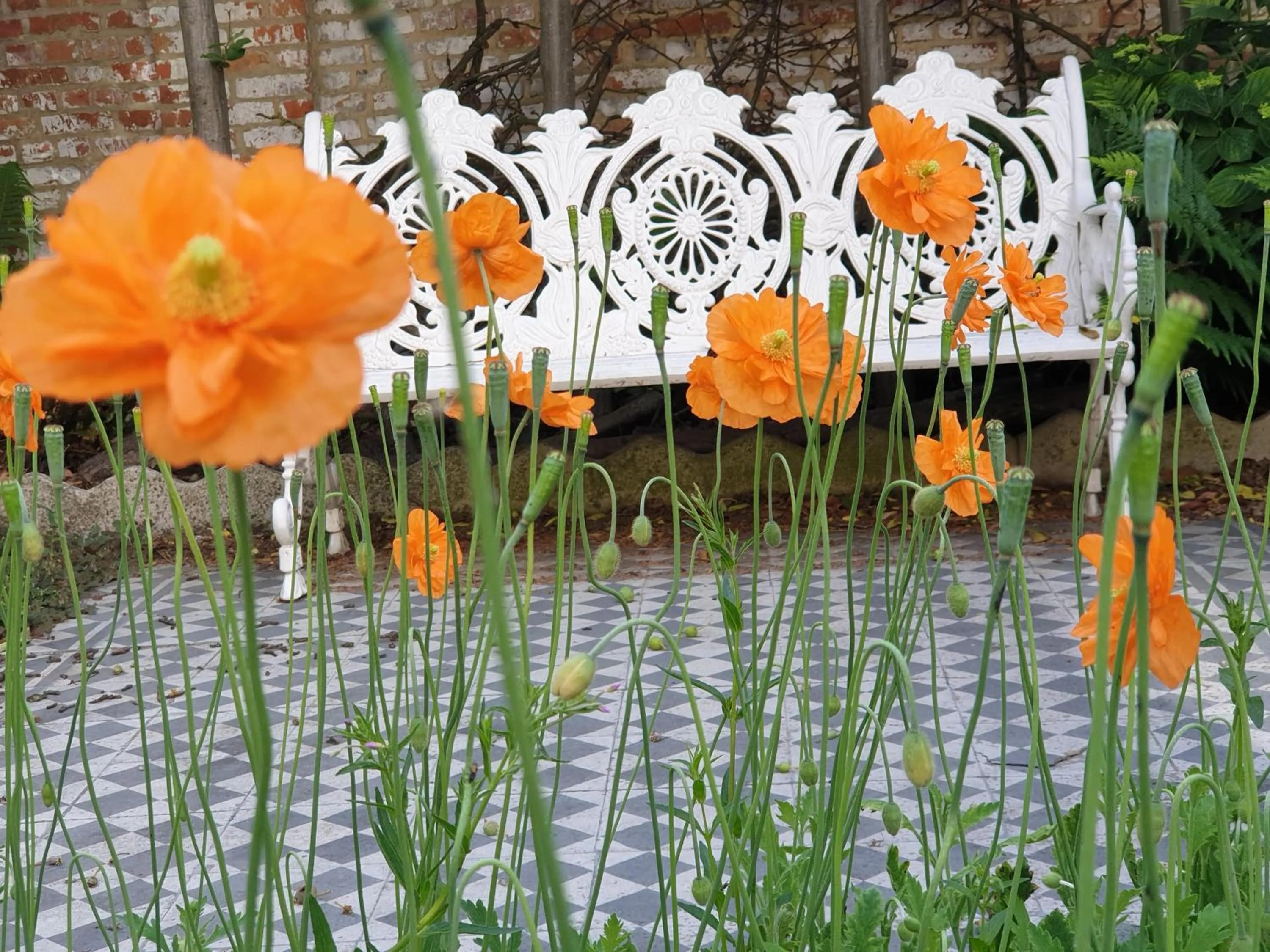 Spring in Bed & Breakfast Exterlaer