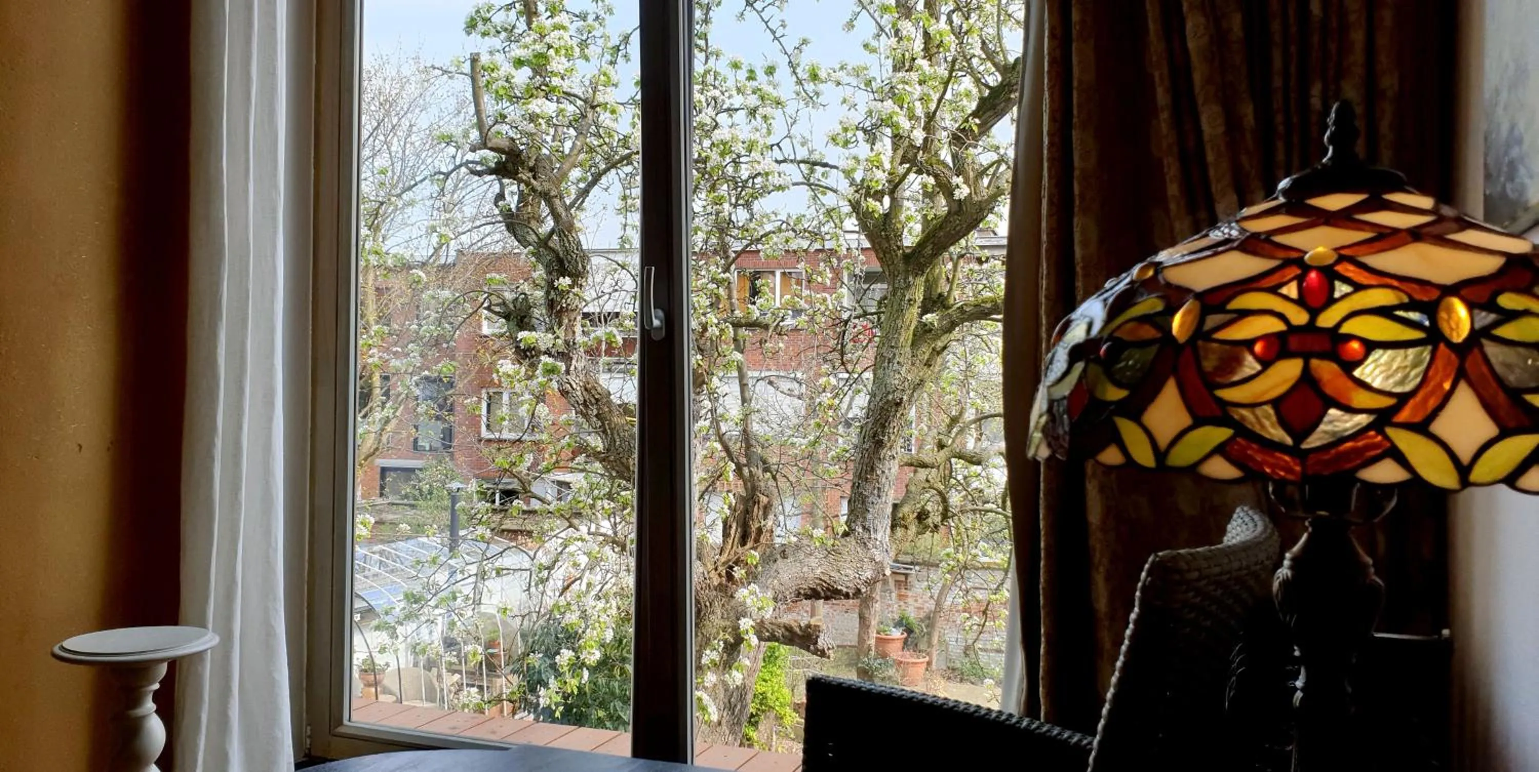 Garden view in Bed & Breakfast Exterlaer