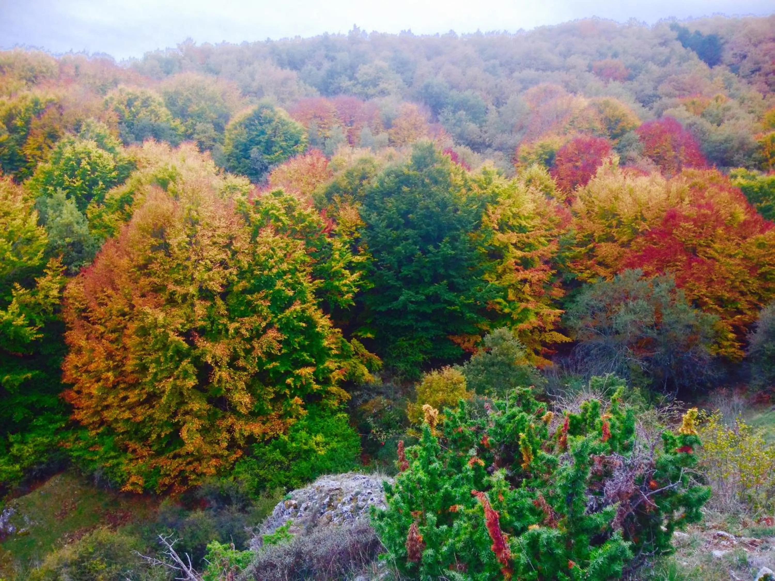 Natural landscape in La Alpargateria