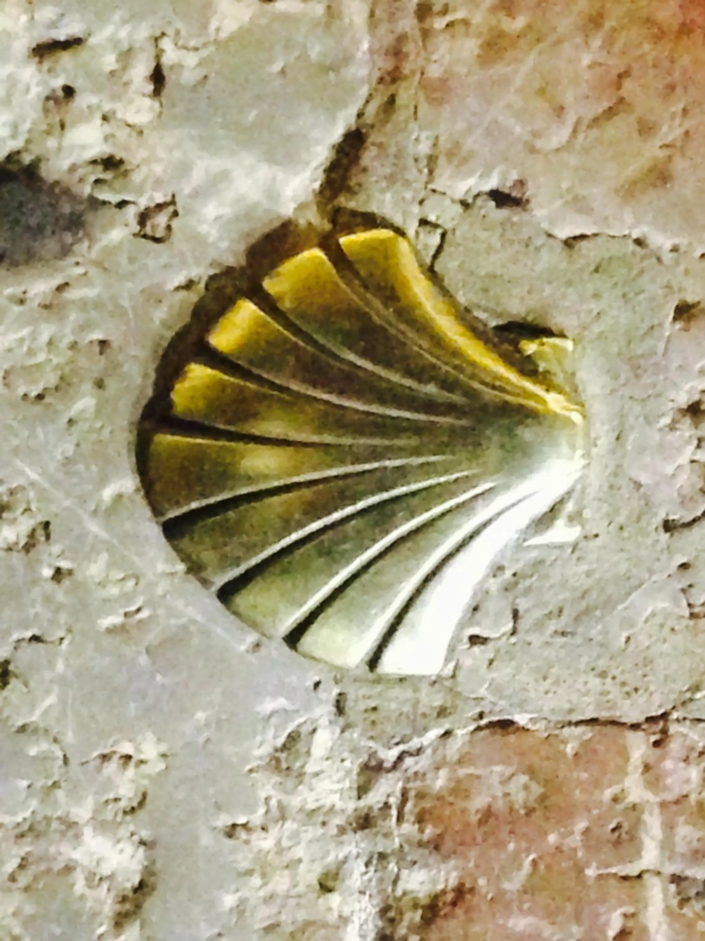 Decorative detail in La Alpargateria