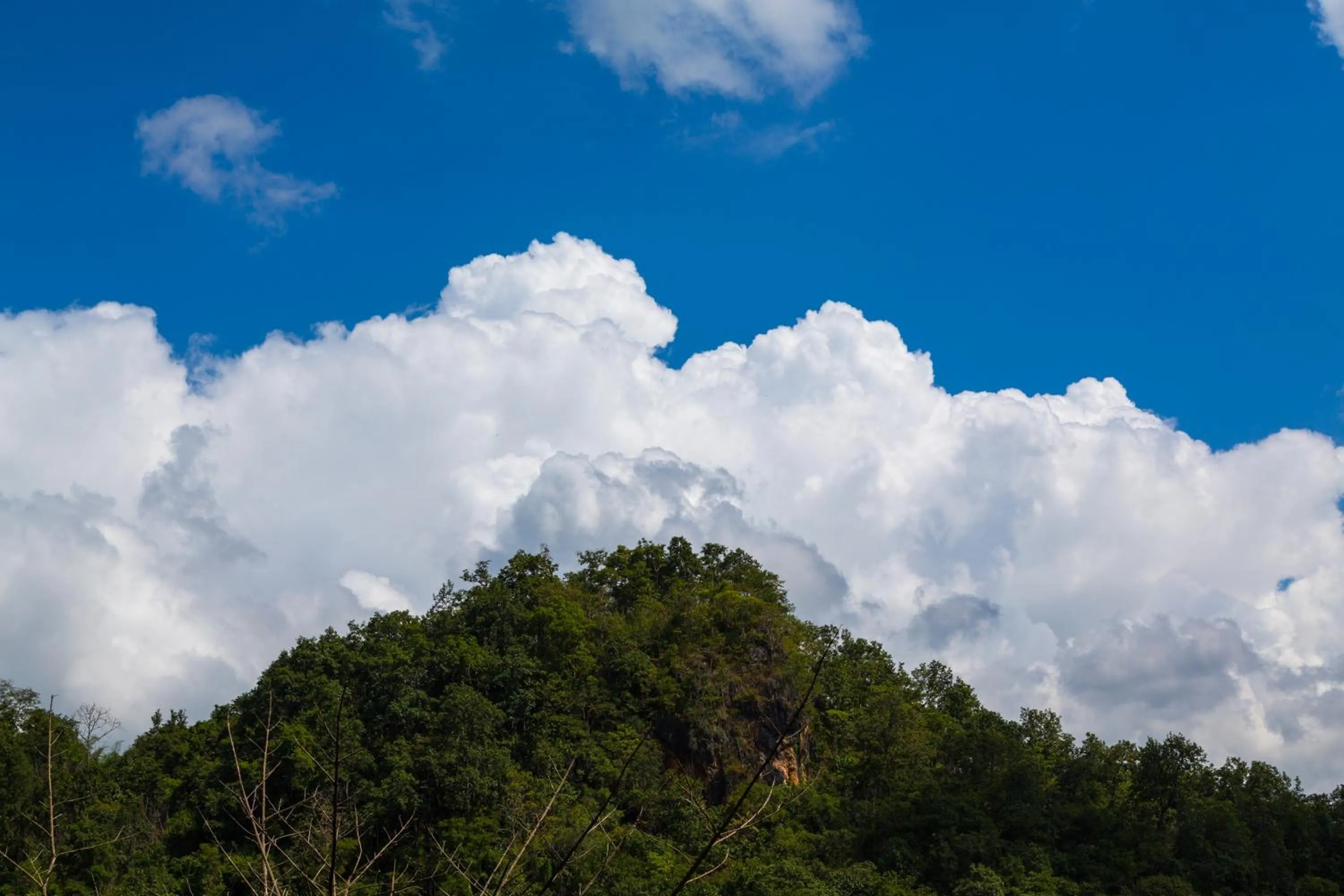 Property building in Phu Pha View Doi