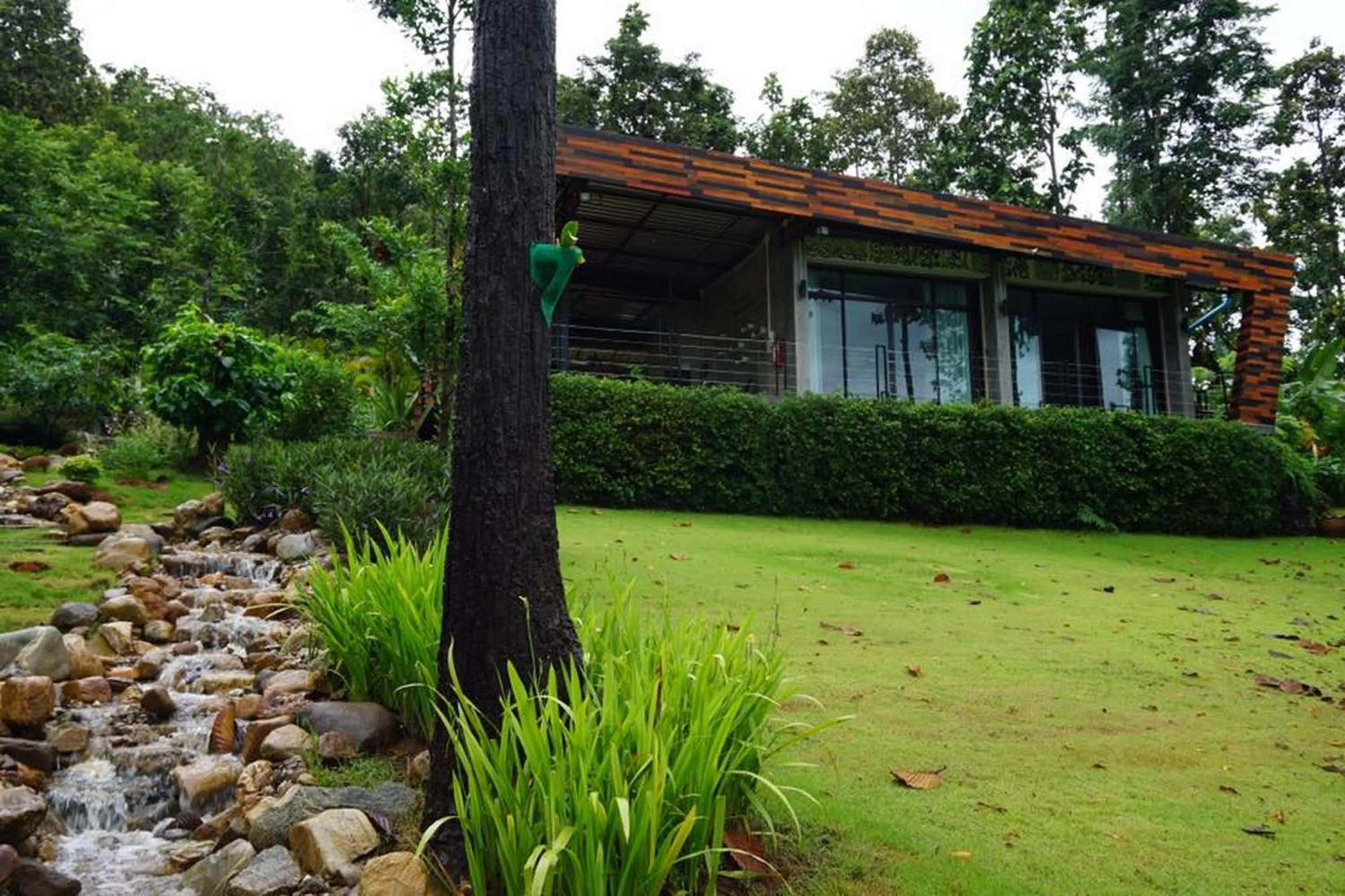 On site in Phu Pha View Doi