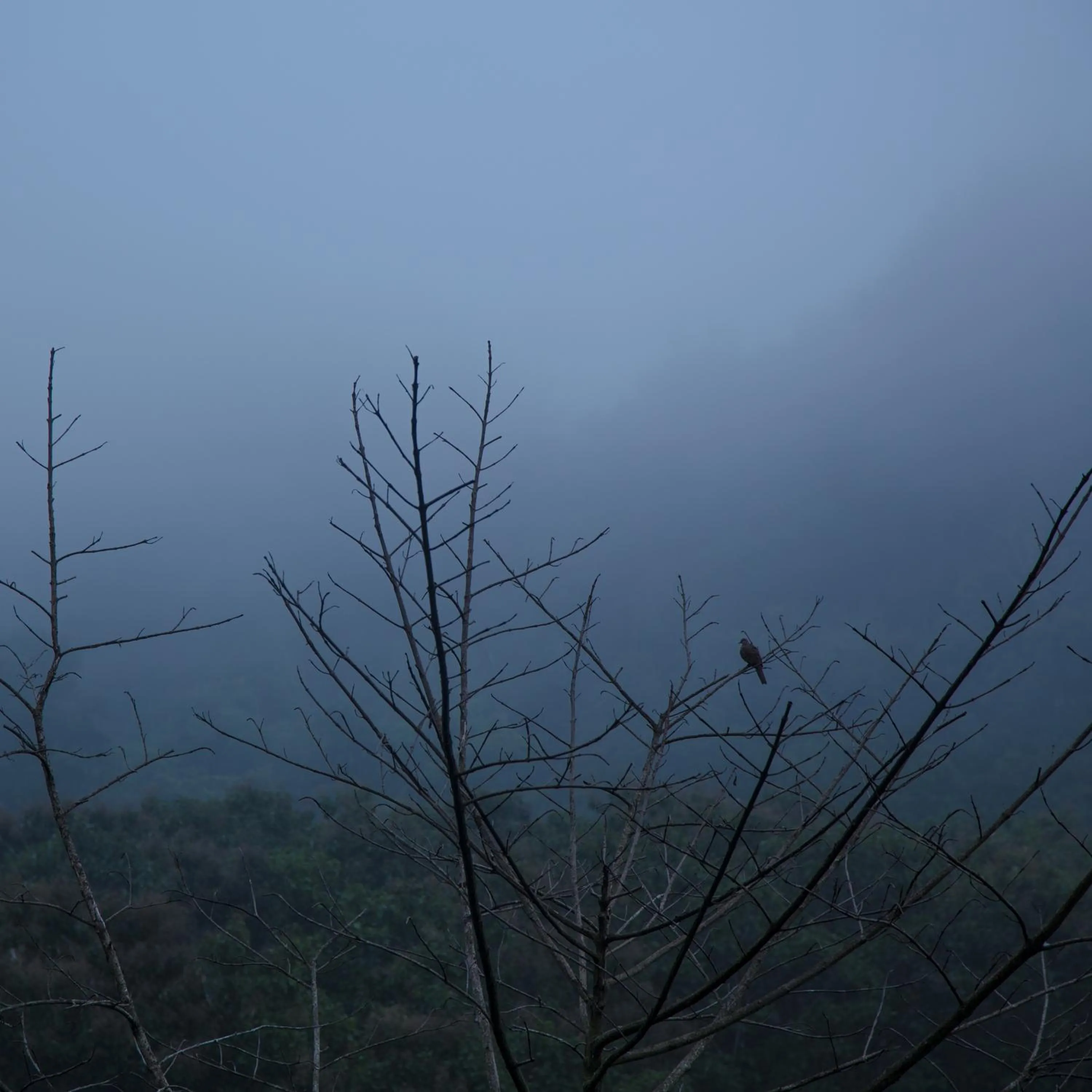 Natural landscape in Phu Pha View Doi