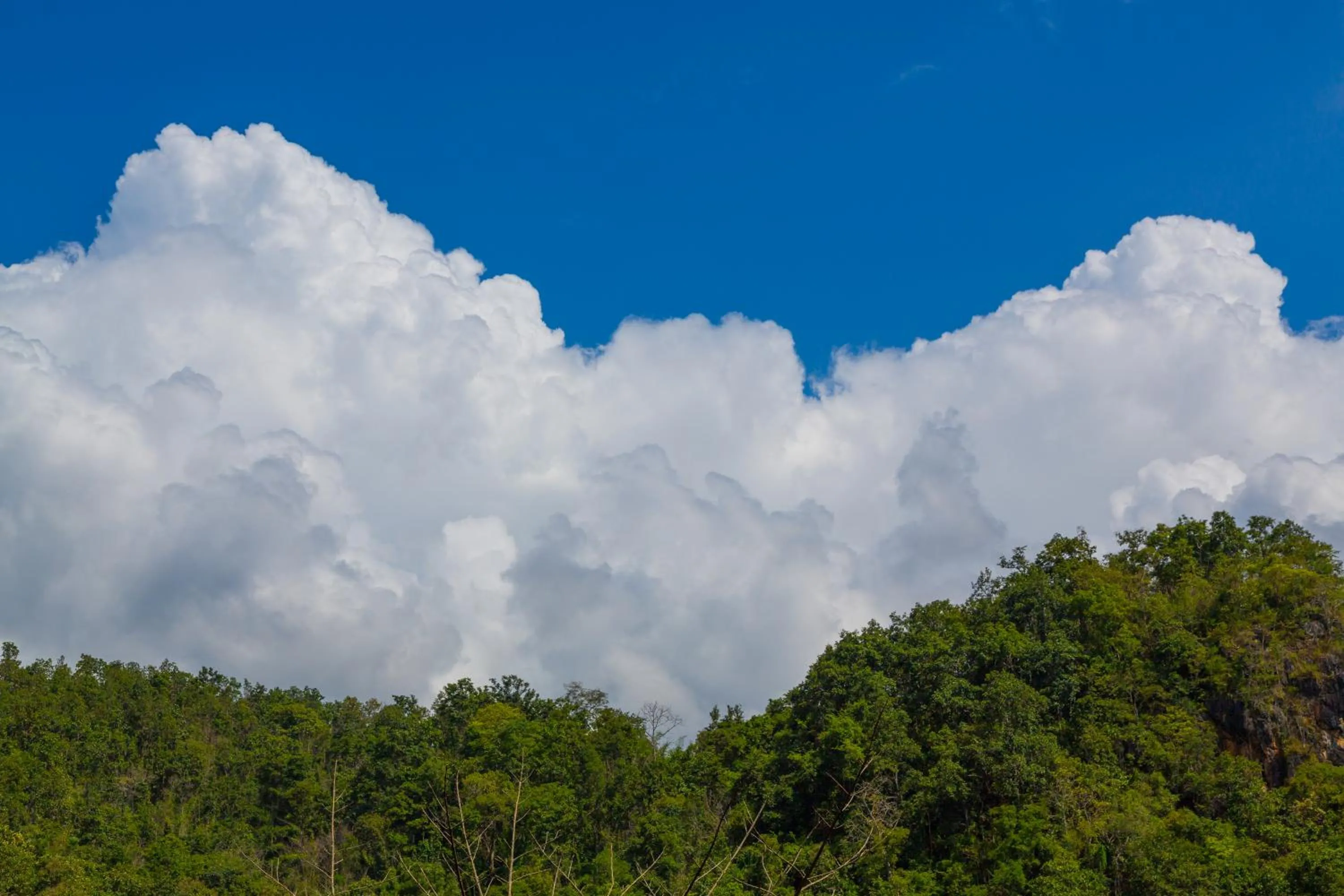 Property building in Phu Pha View Doi