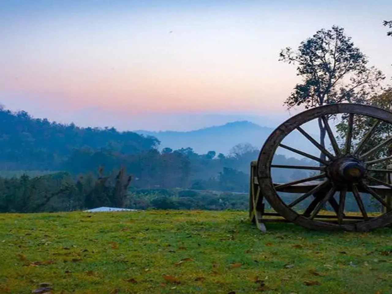 Garden in Phu Pha View Doi Garden in Phu Pha View Doi