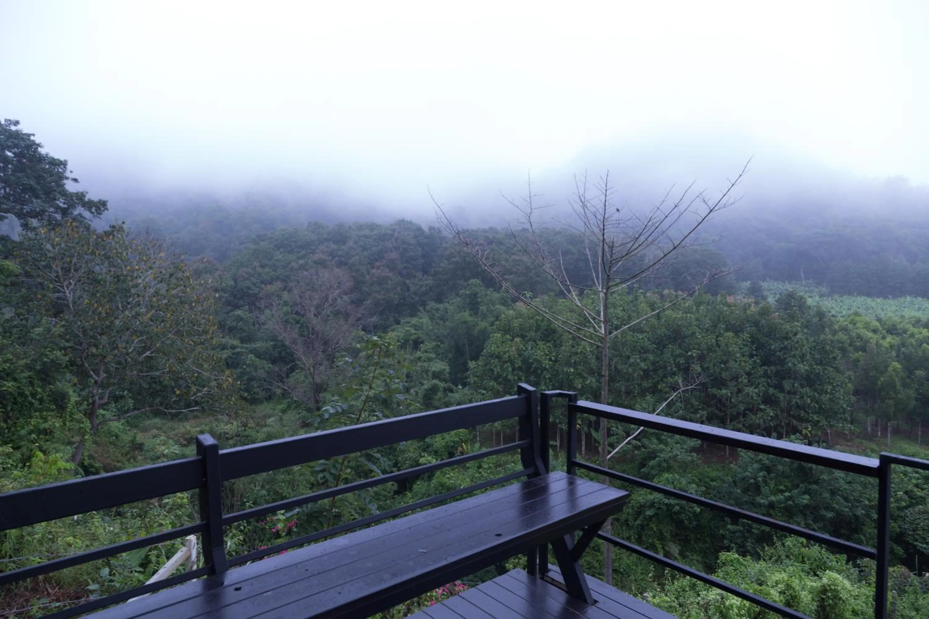 Balcony/Terrace in Phu Pha View Doi