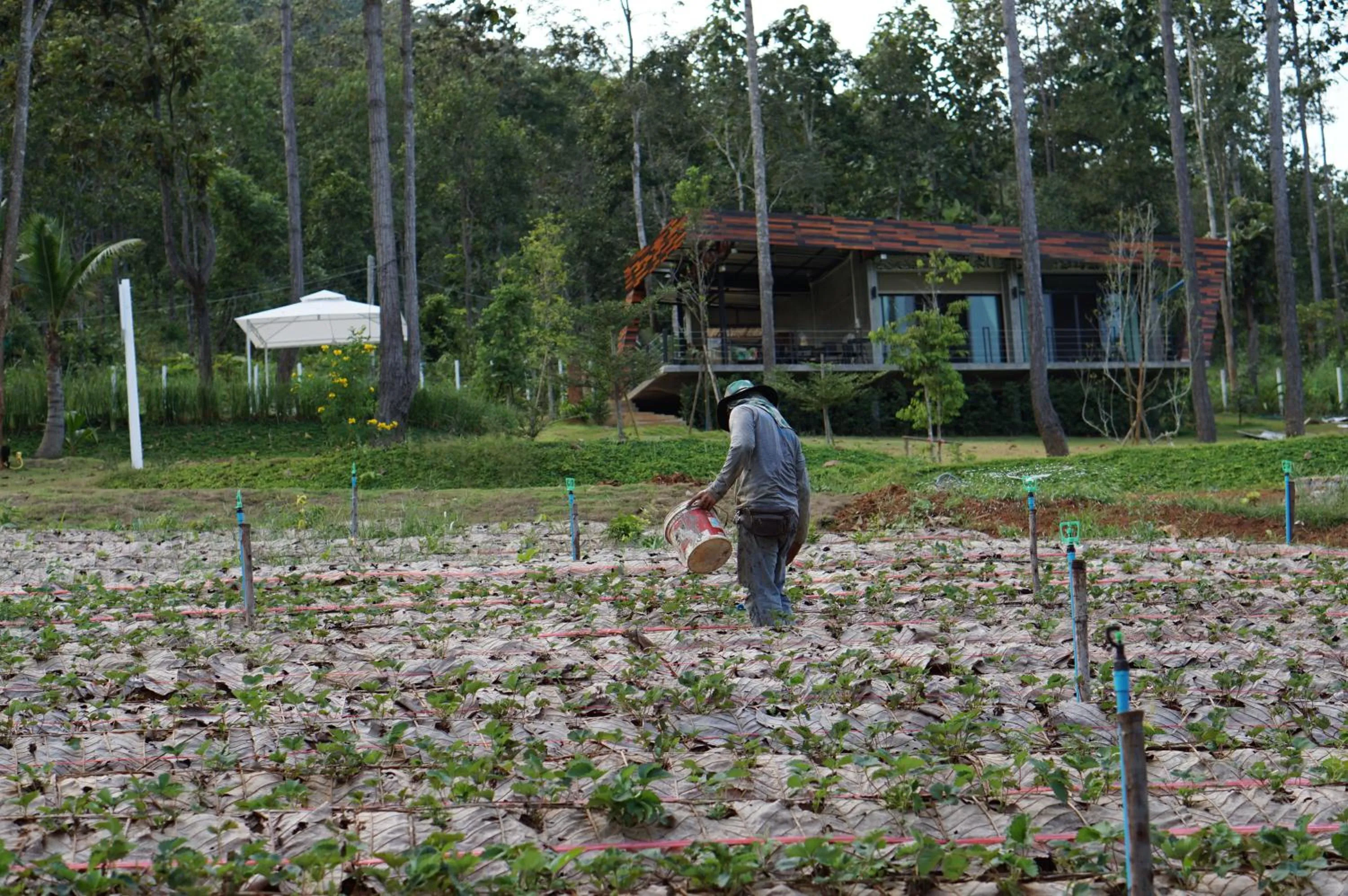 Activities in Phu Pha View Doi