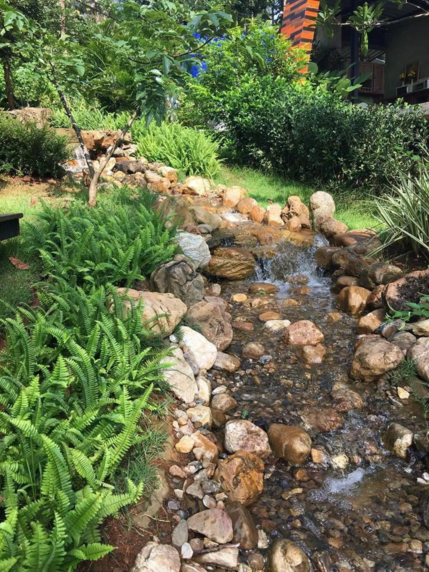 Natural landscape in Phu Pha View Doi