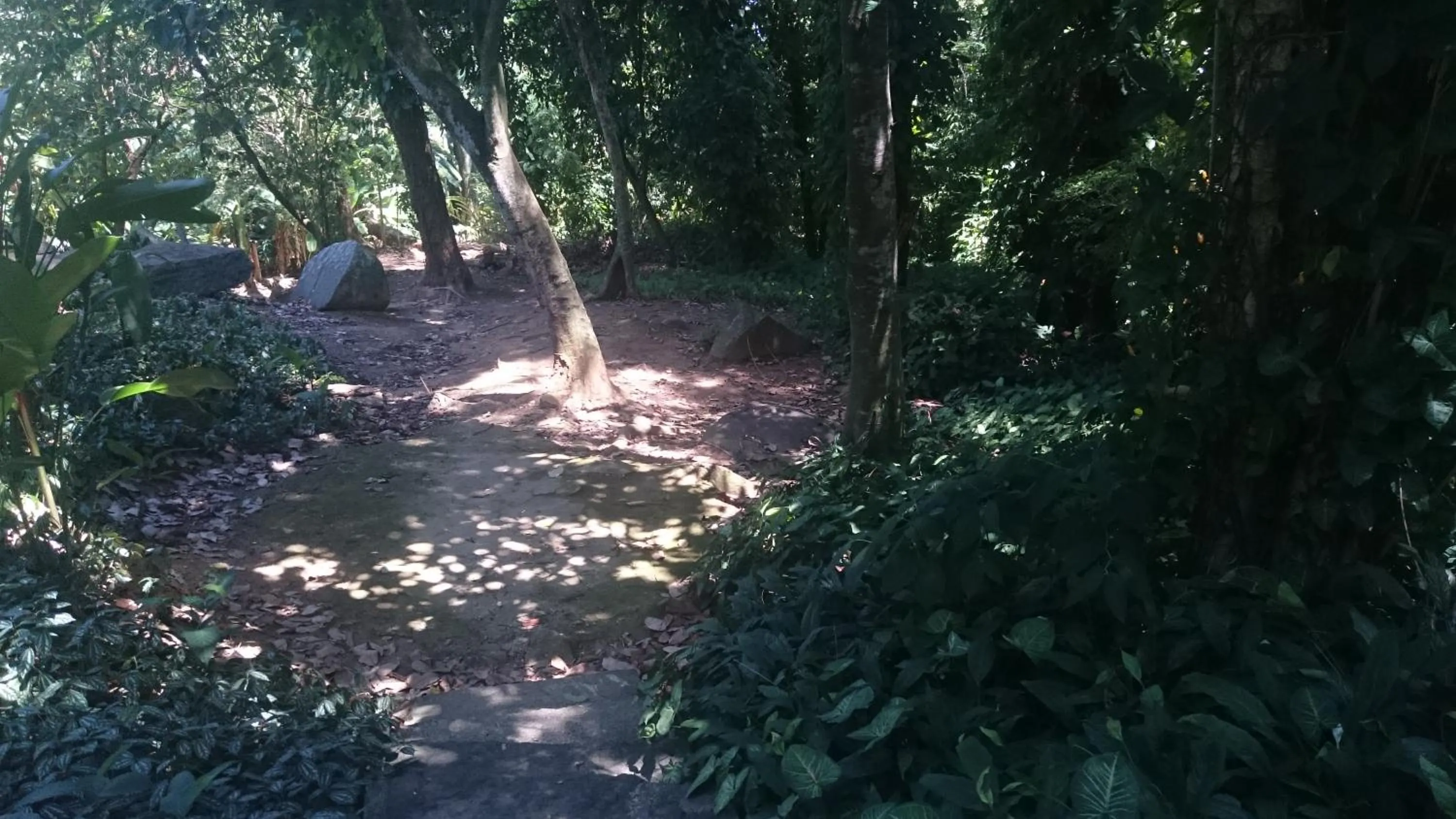 Natural landscape in REB Casa Itanhangá