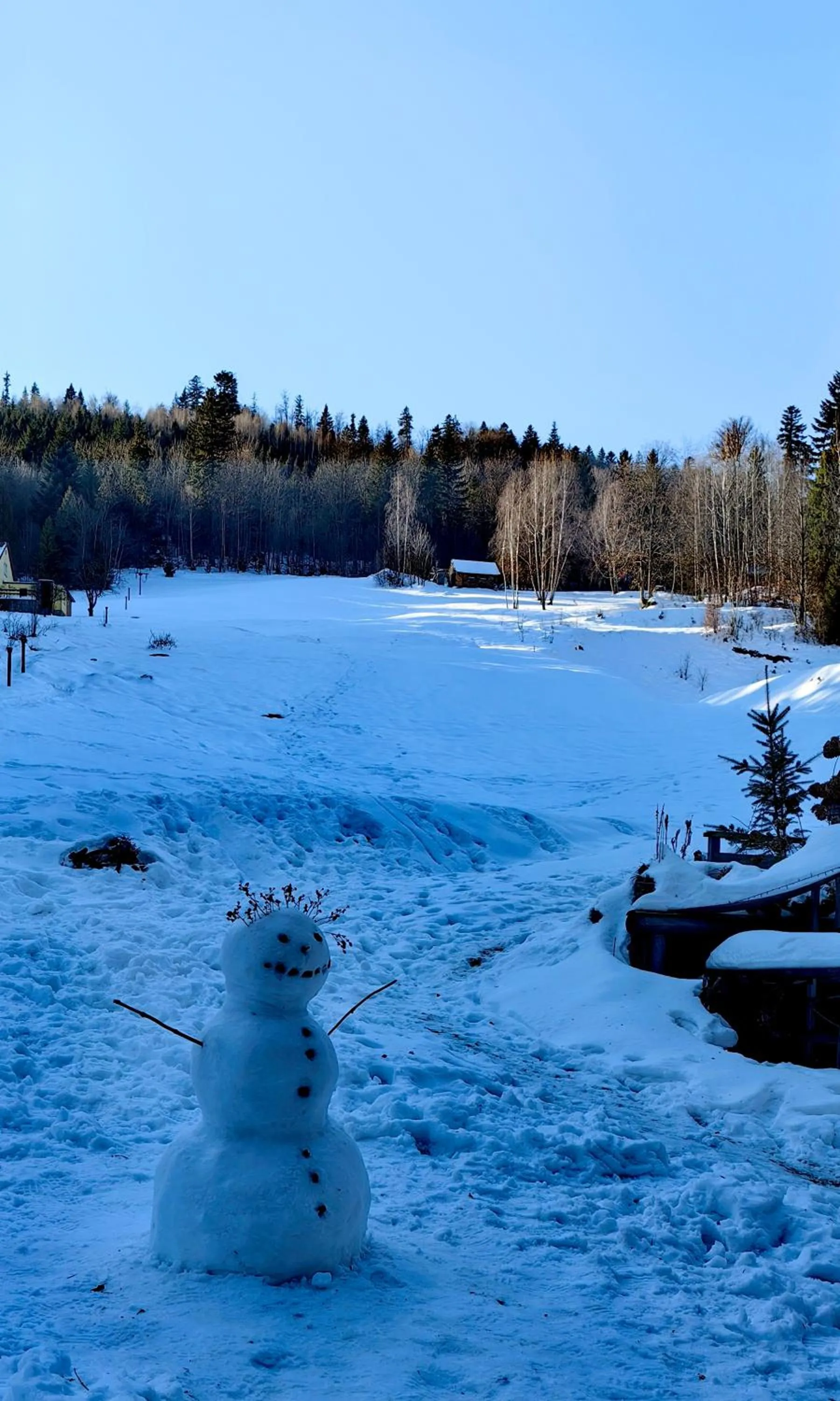 Area and facilities in Osada pod Beskidem- chatki całoroczne