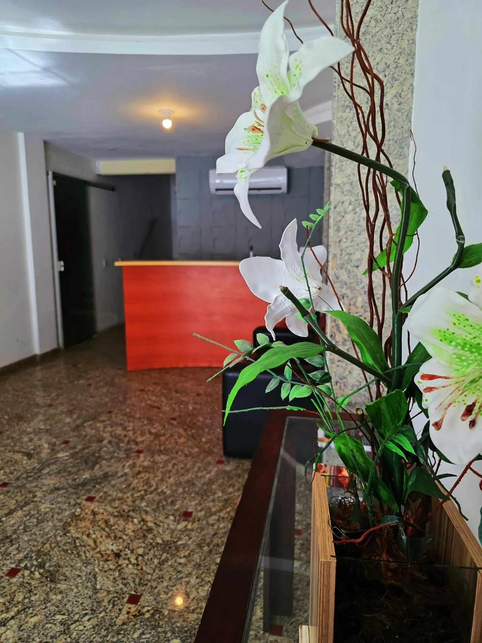 Lobby or reception in Caiçara Flats