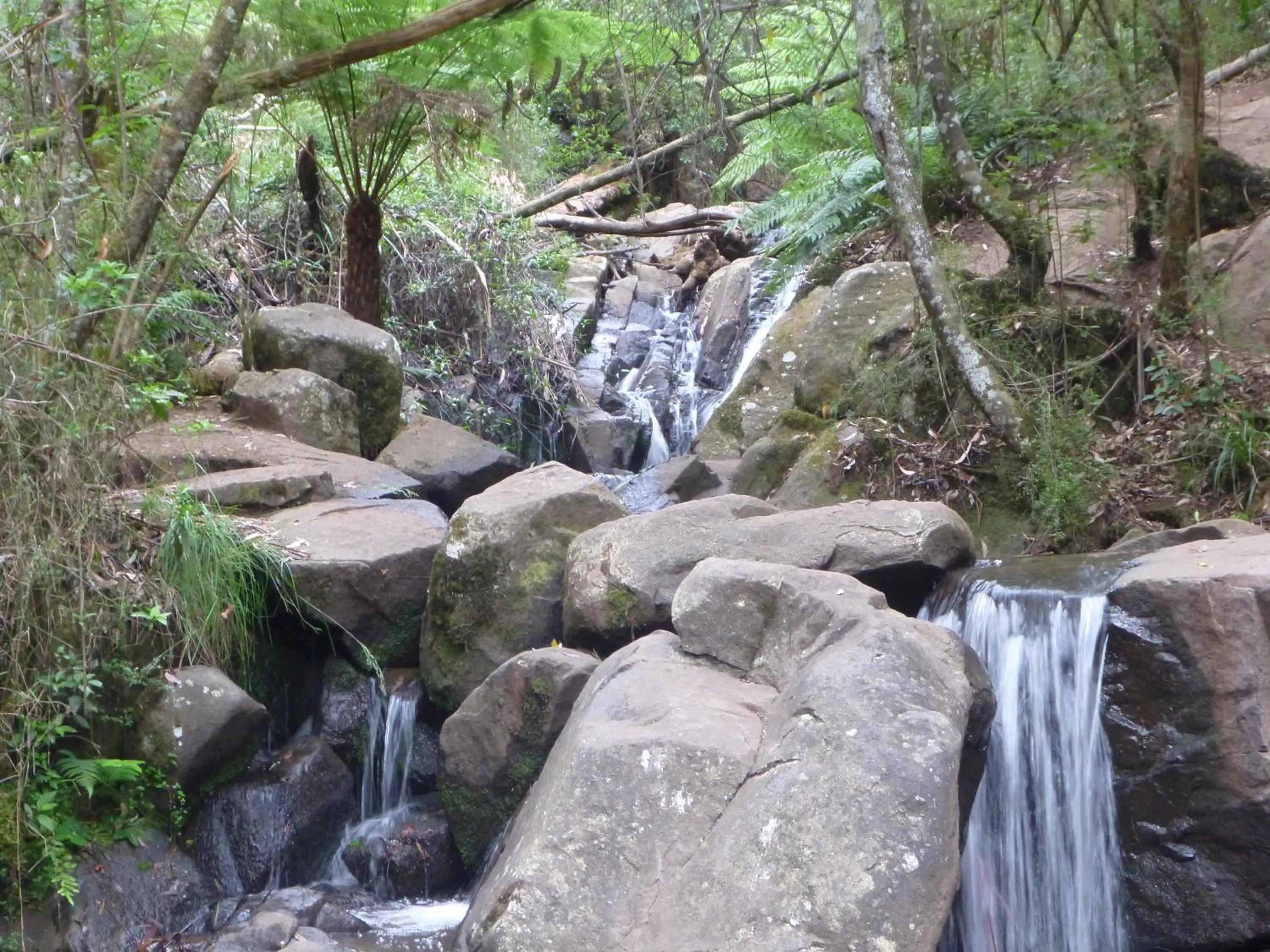 Hiking in Mountain Lodge