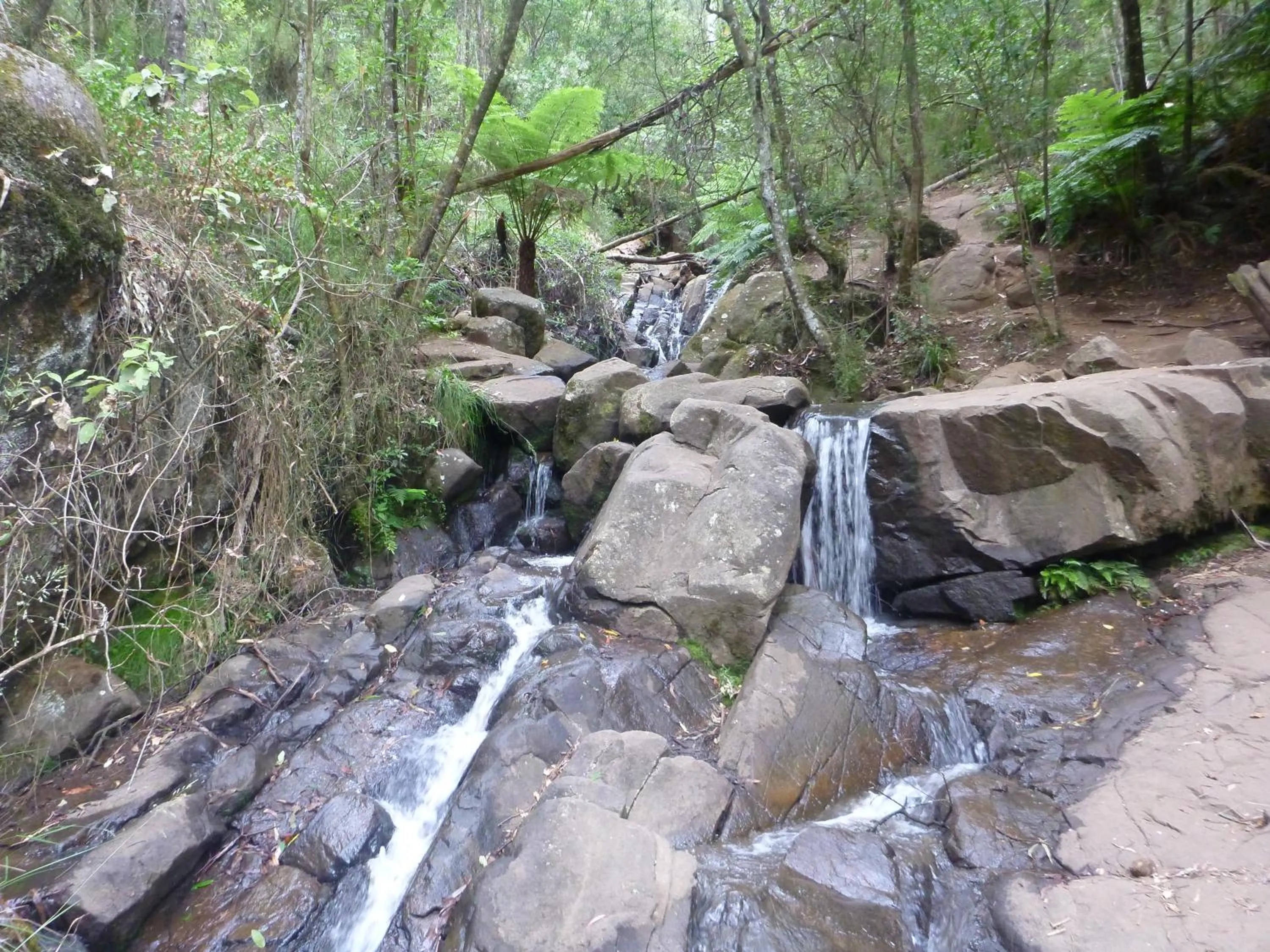 Hiking in Mountain Lodge