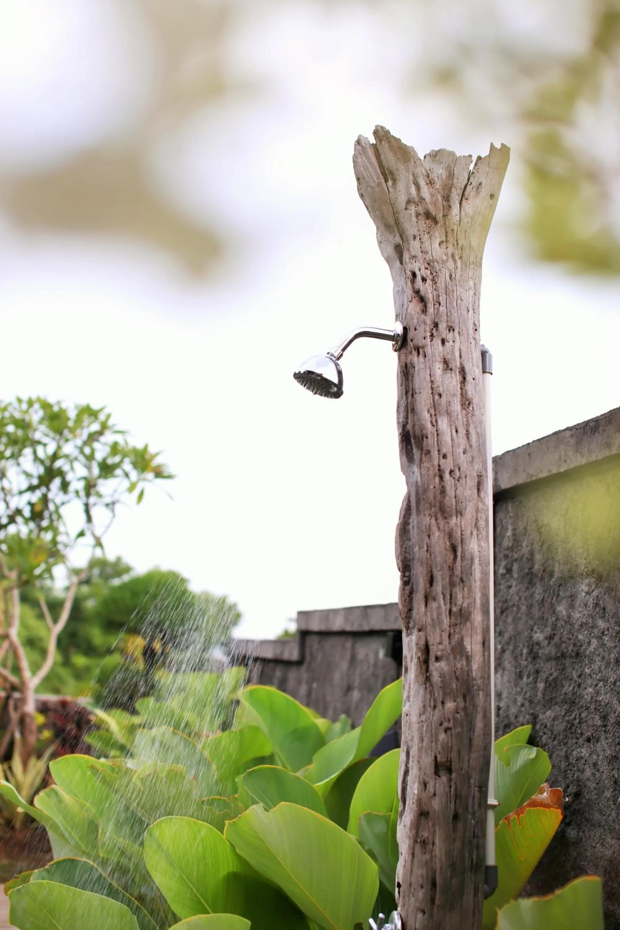 Garden in Breezy Point Villas
