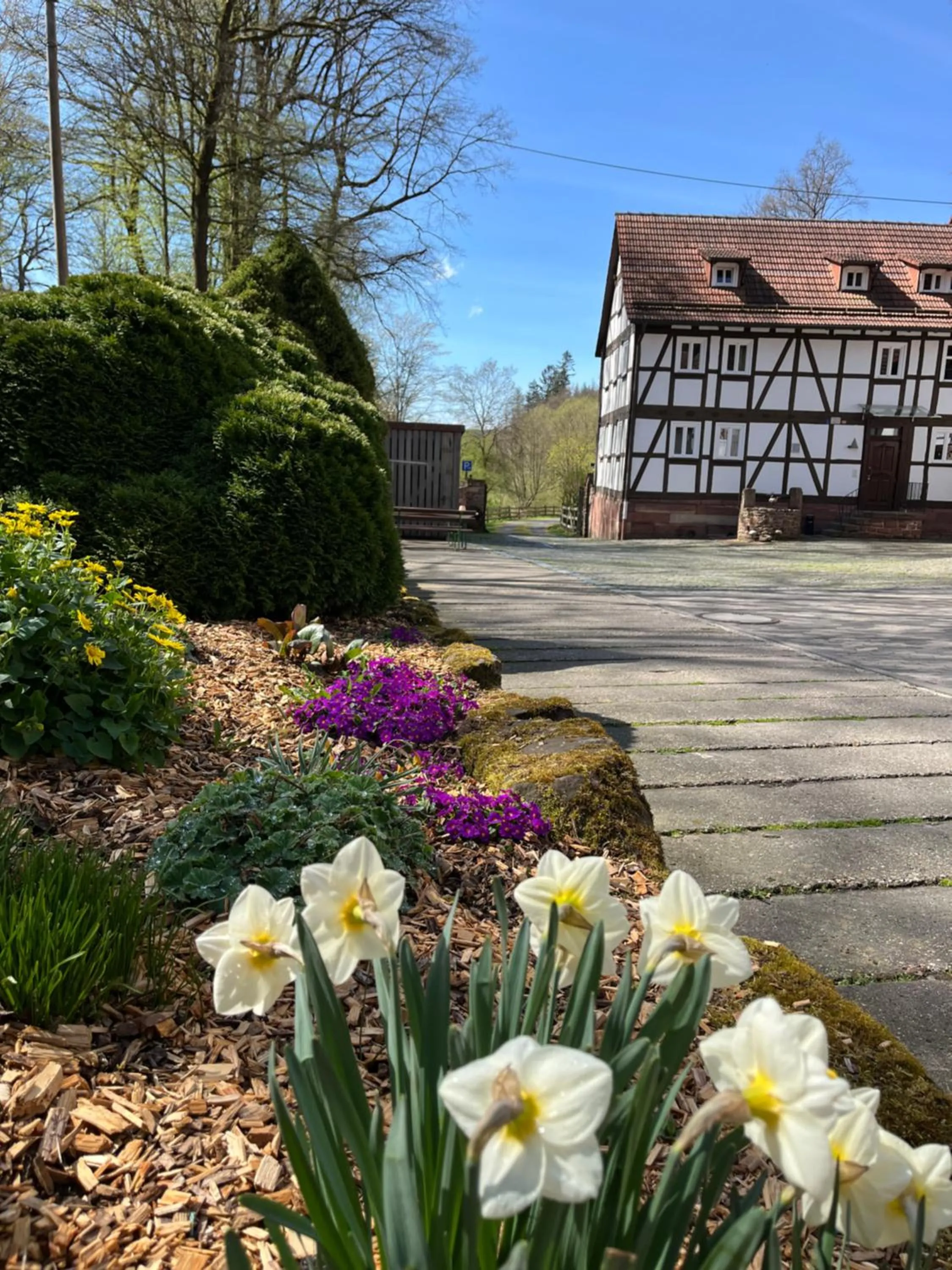 Pension Untere Mühle