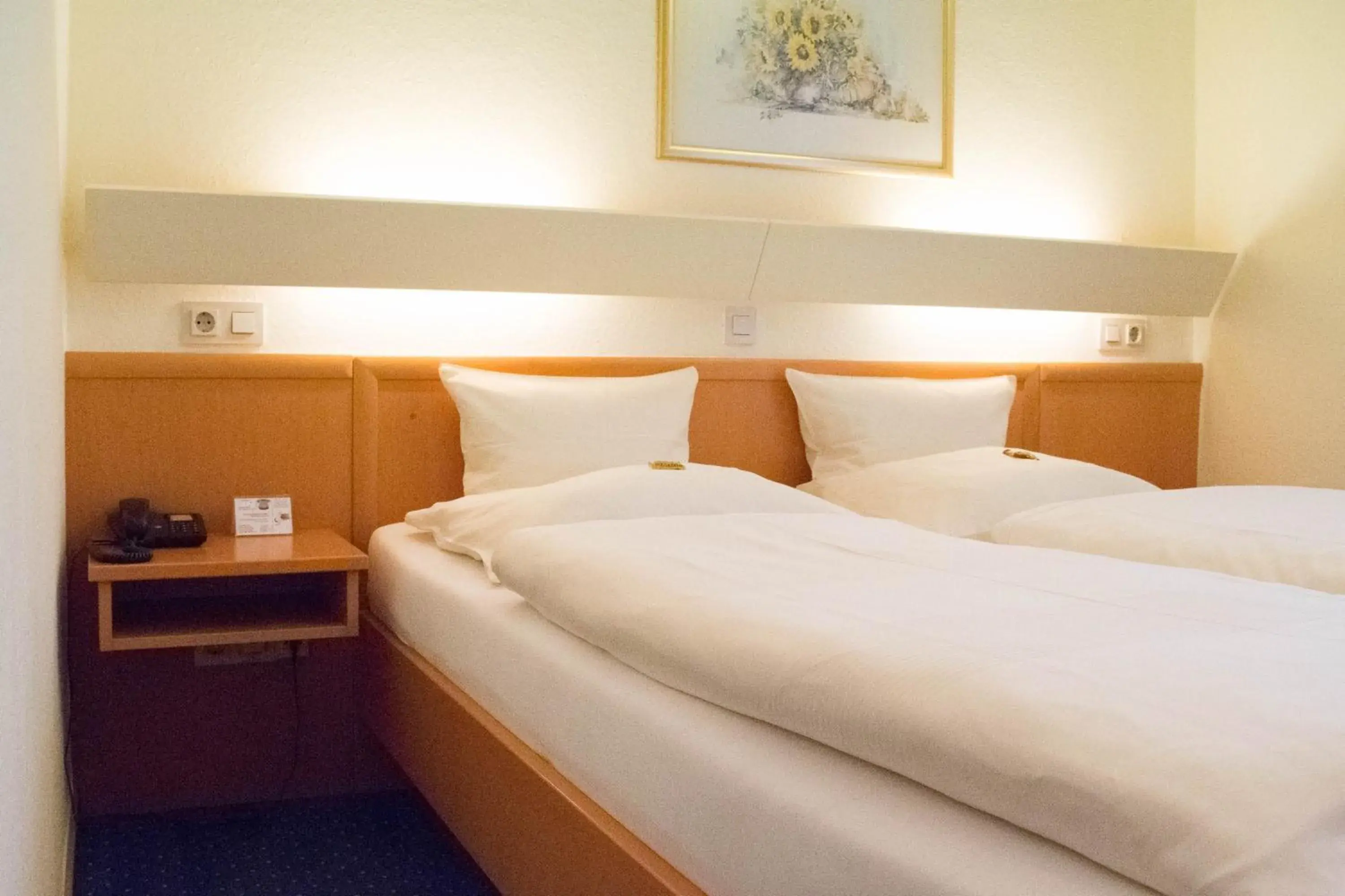 Double Room - single occupancy in Hotel Postkutsche Double Room - single occupancy in Hotel Postkutsche