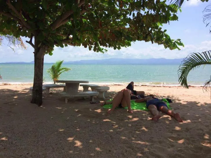 Property building in Phangan Lodge