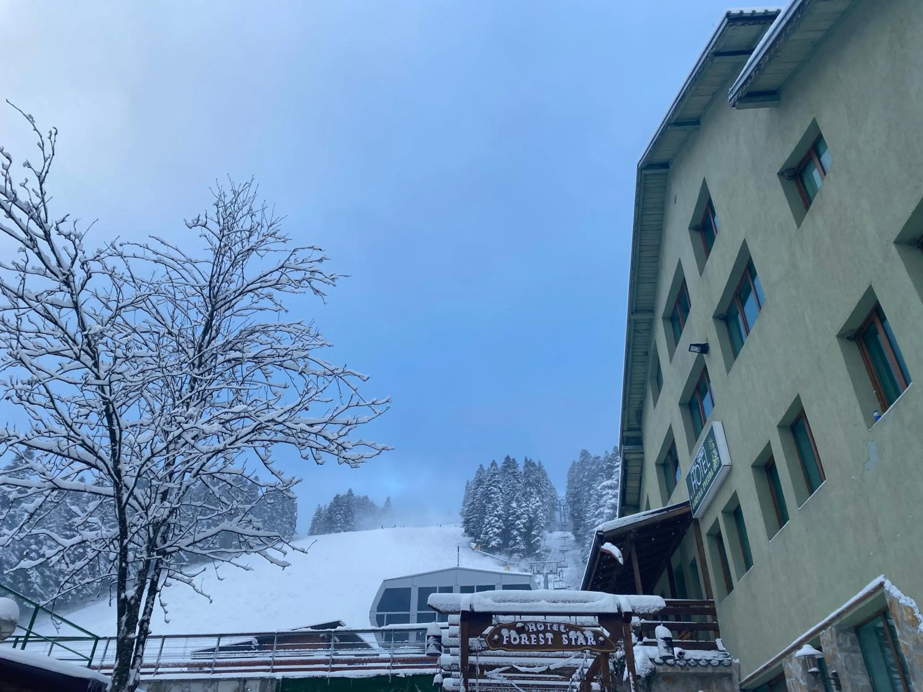 Hotel Forest Star on the Ski Slope