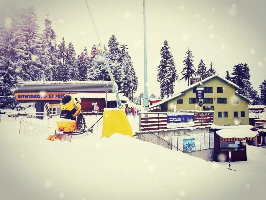 Hotel Forest Star on the Ski Slope