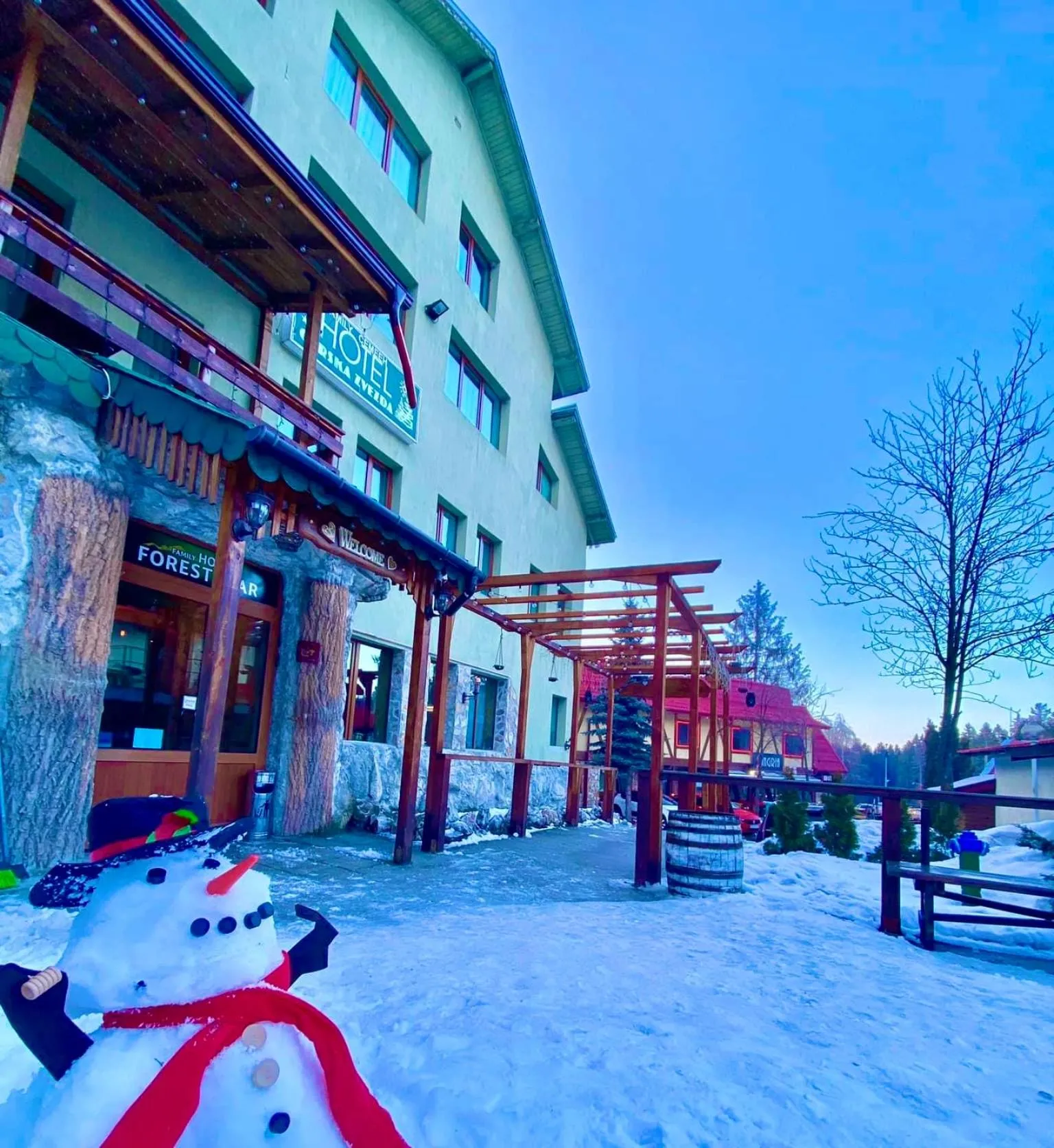 Hotel Forest Star on the Ski Slope