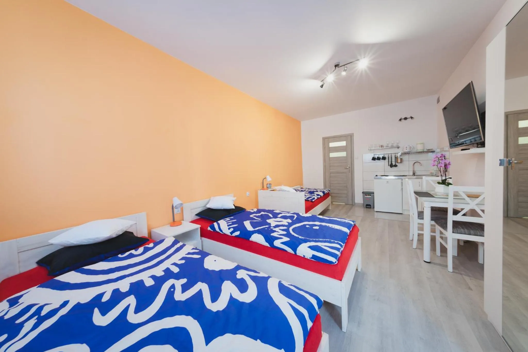 Superior Apartment - single occupancy in Apartament Franka