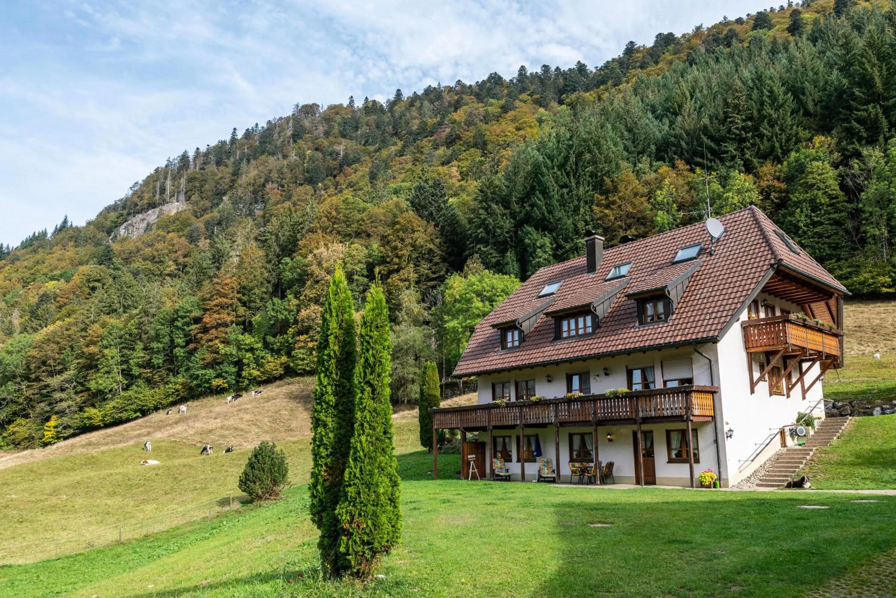 Property building in Gasthaus Zur Linde- Napf