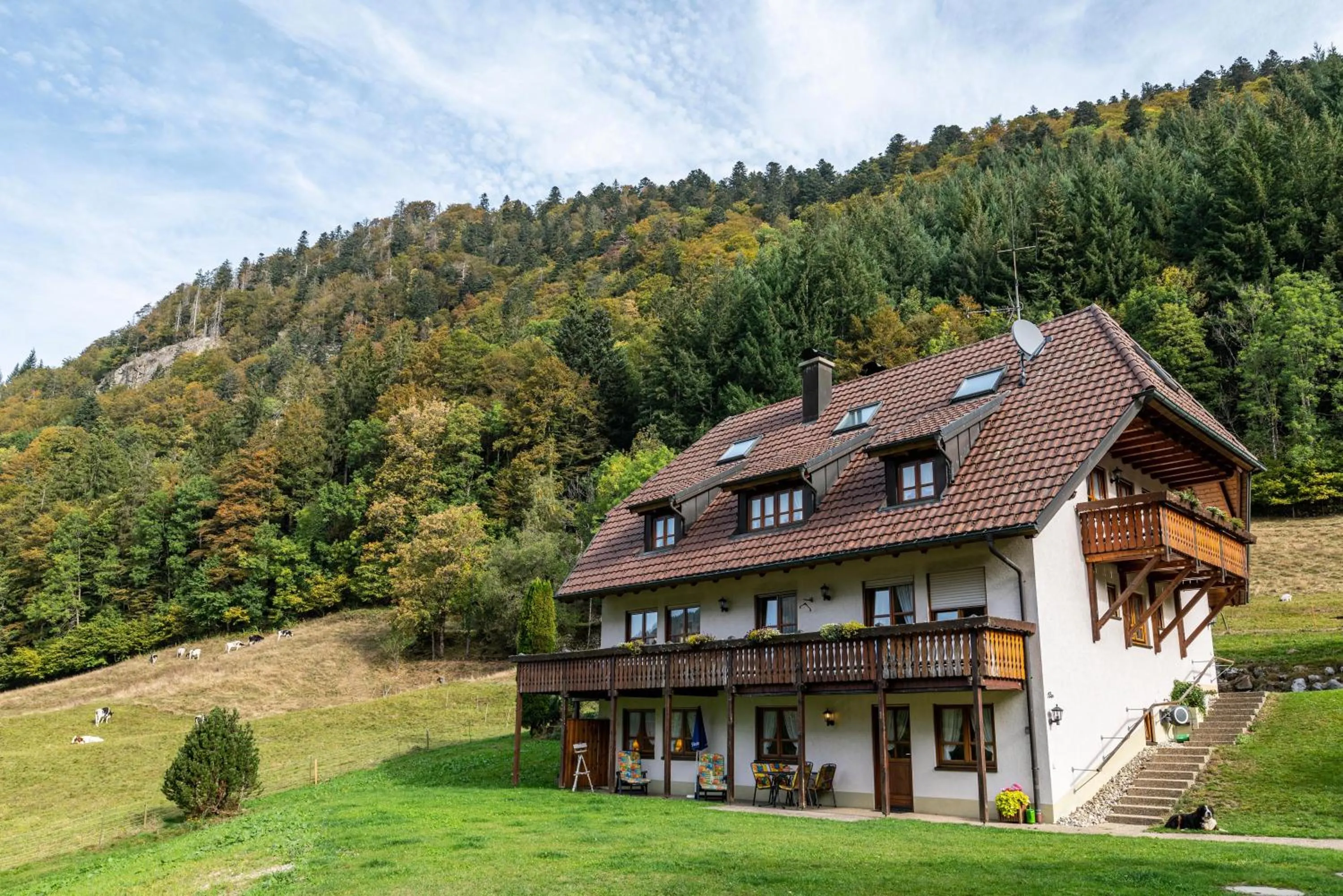 Property building in Gasthaus Zur Linde- Napf