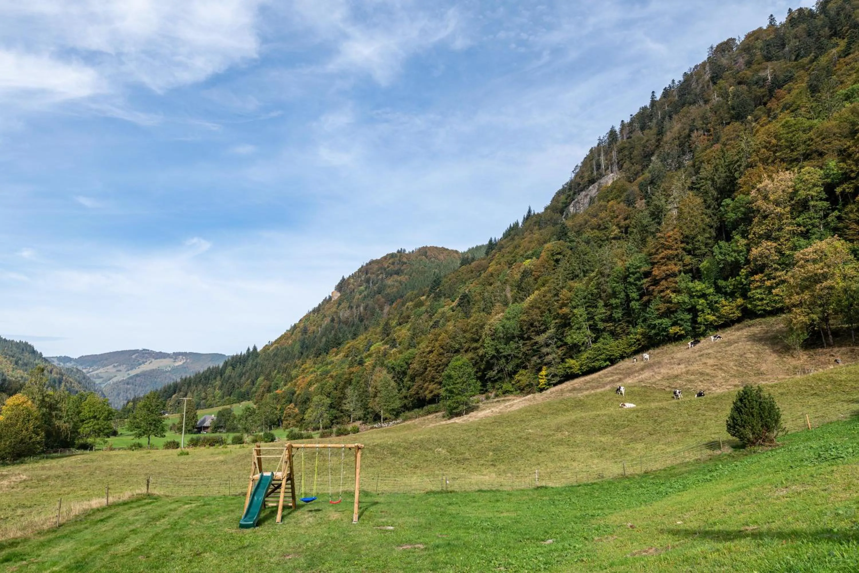 Property building in Gasthaus Zur Linde- Napf