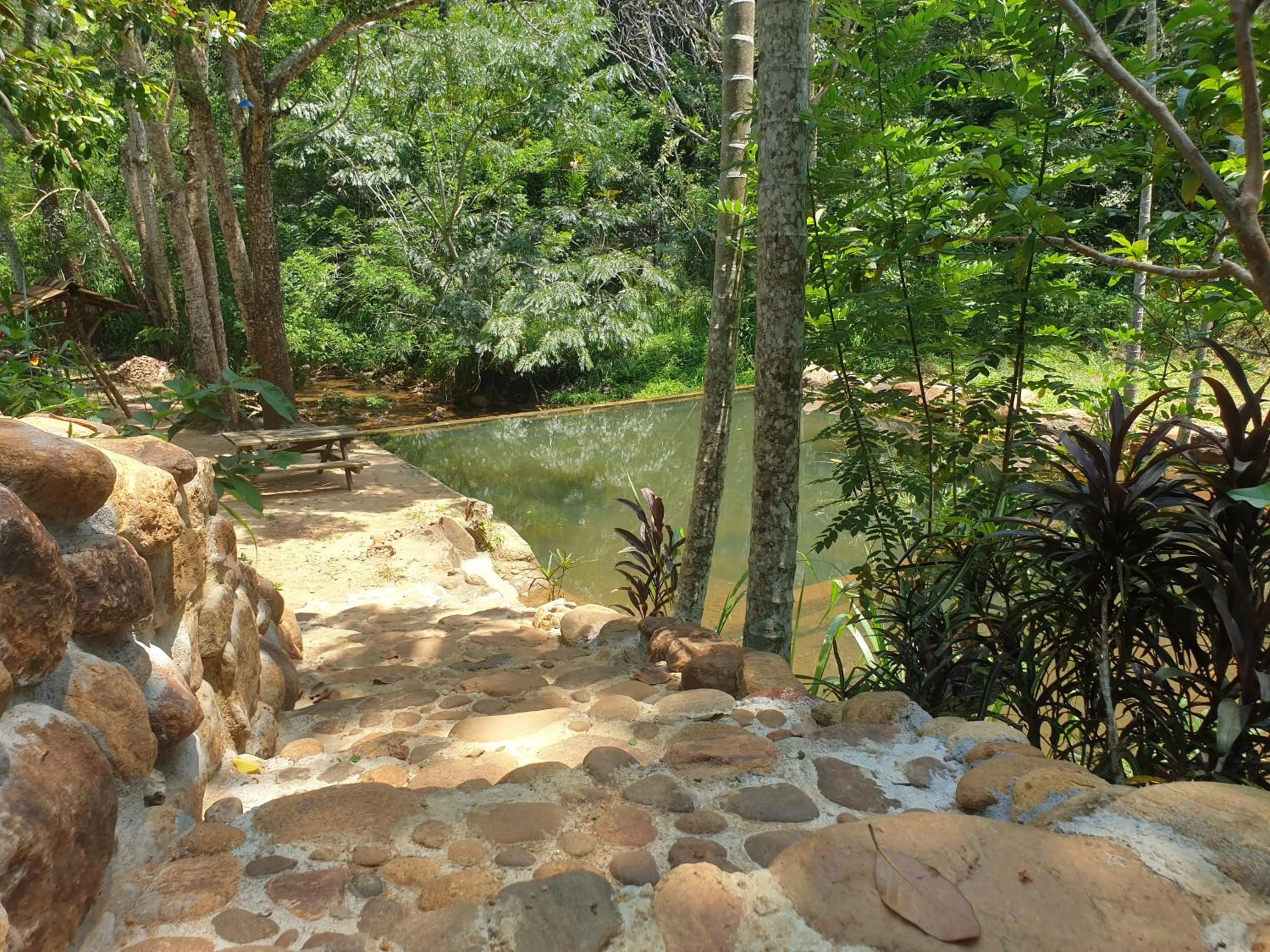 Nature Hub Koslanda