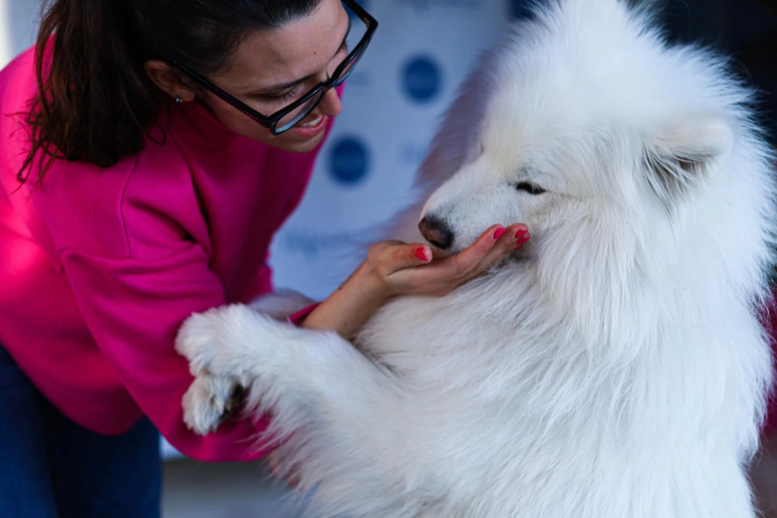 Pets in Hotel Alfonsina