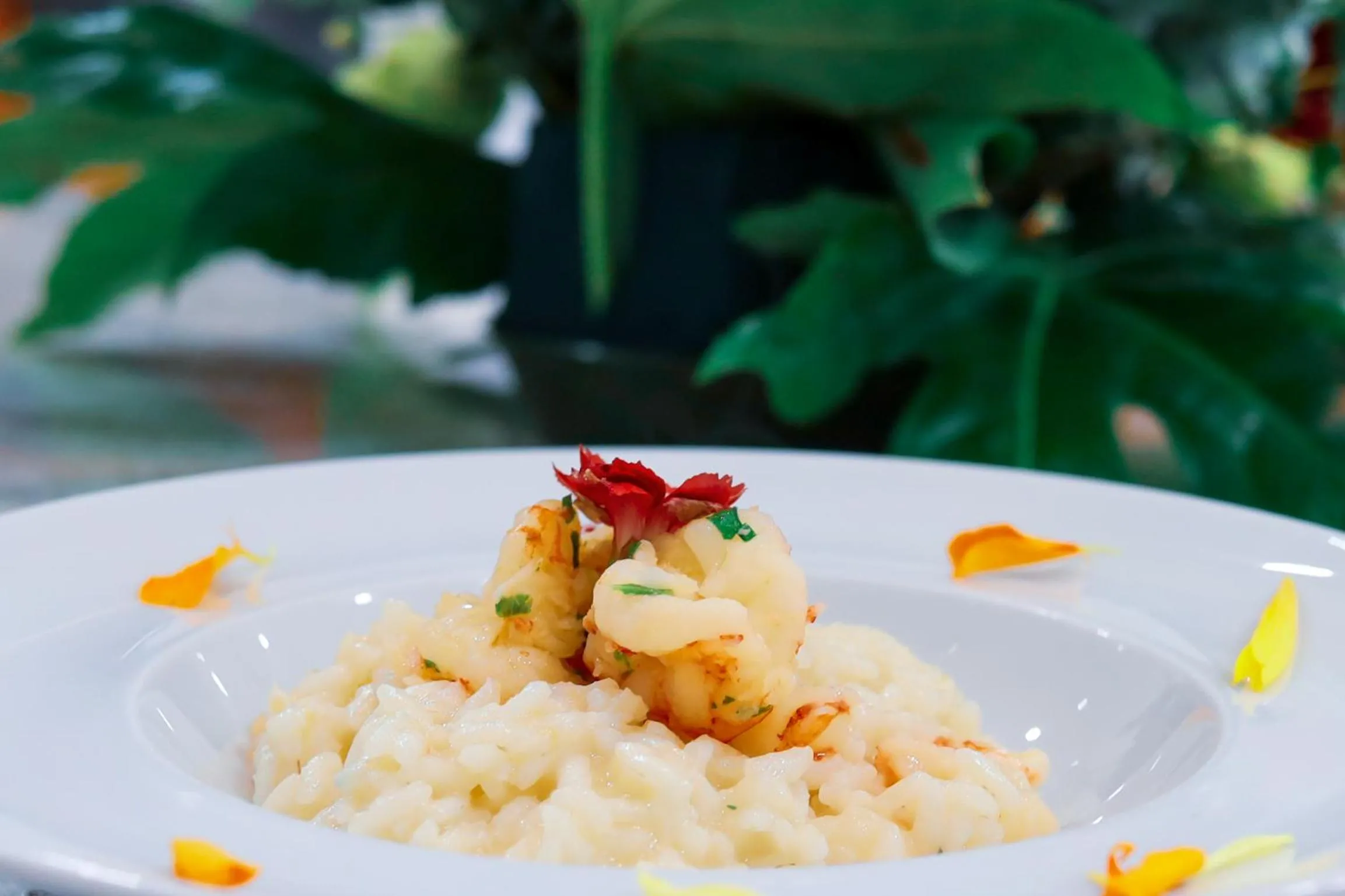 Food in Hotel Alfonsina