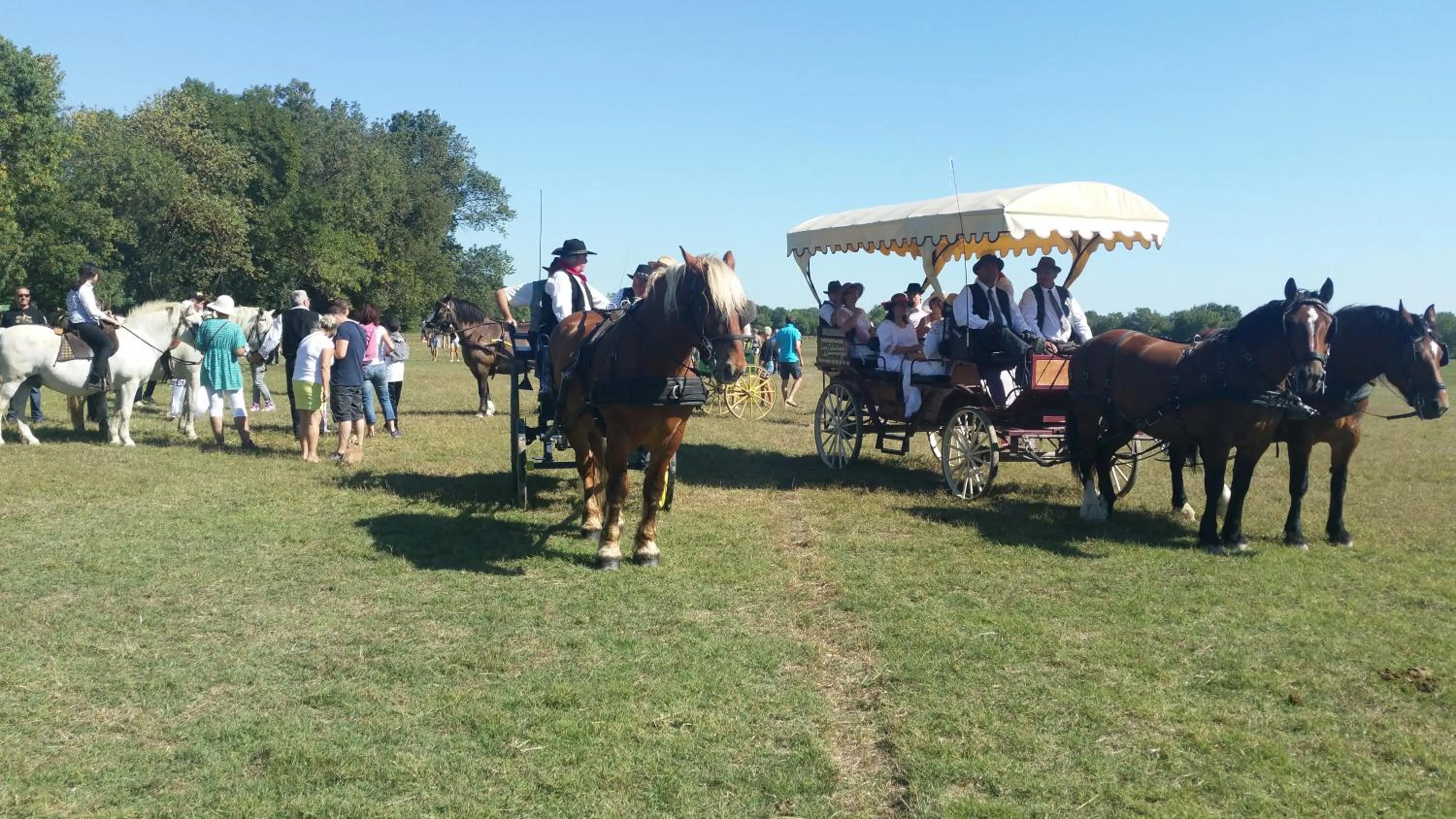 Property building in Le Clos des Aramons