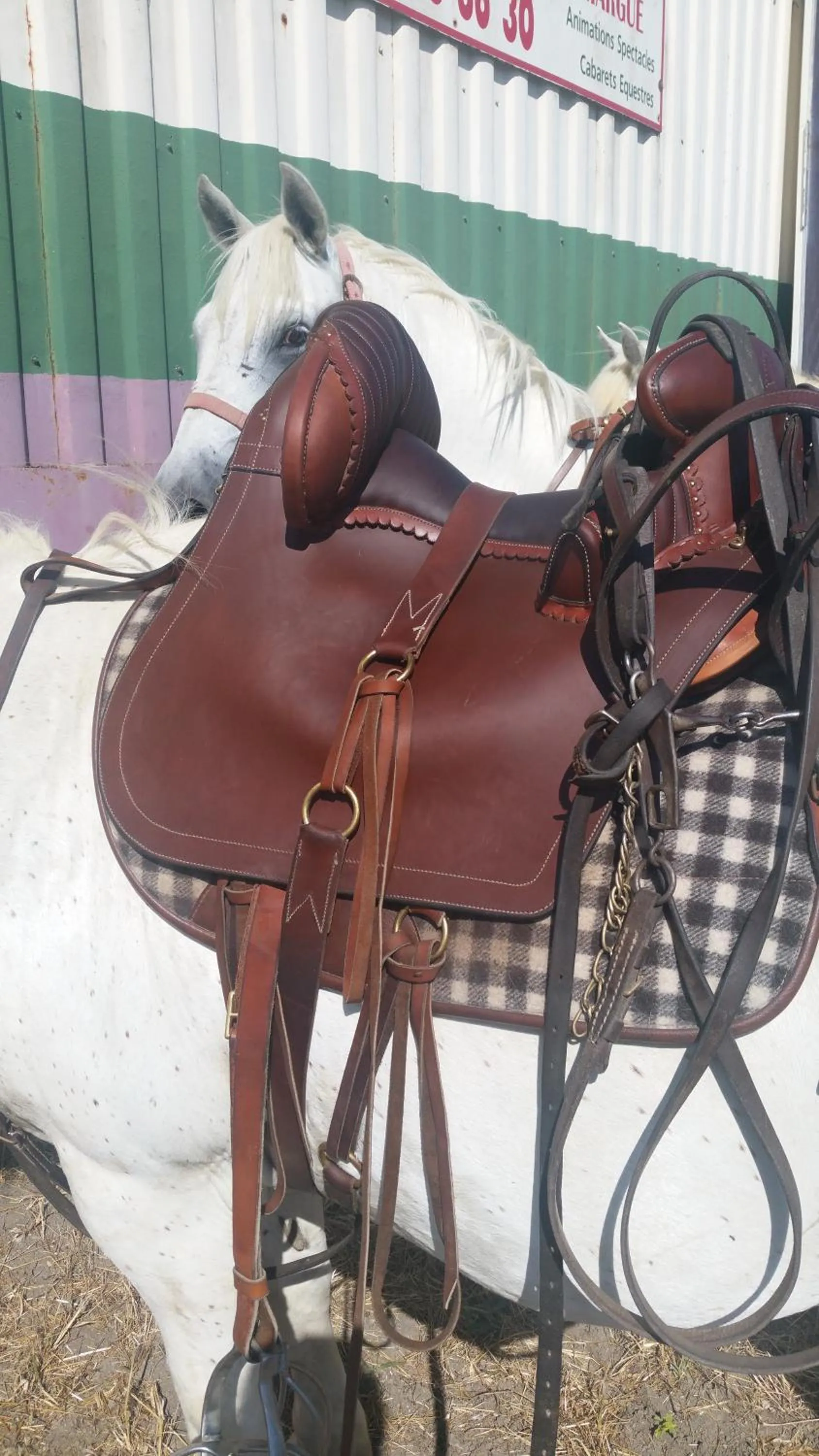 Activities in Le Clos des Aramons