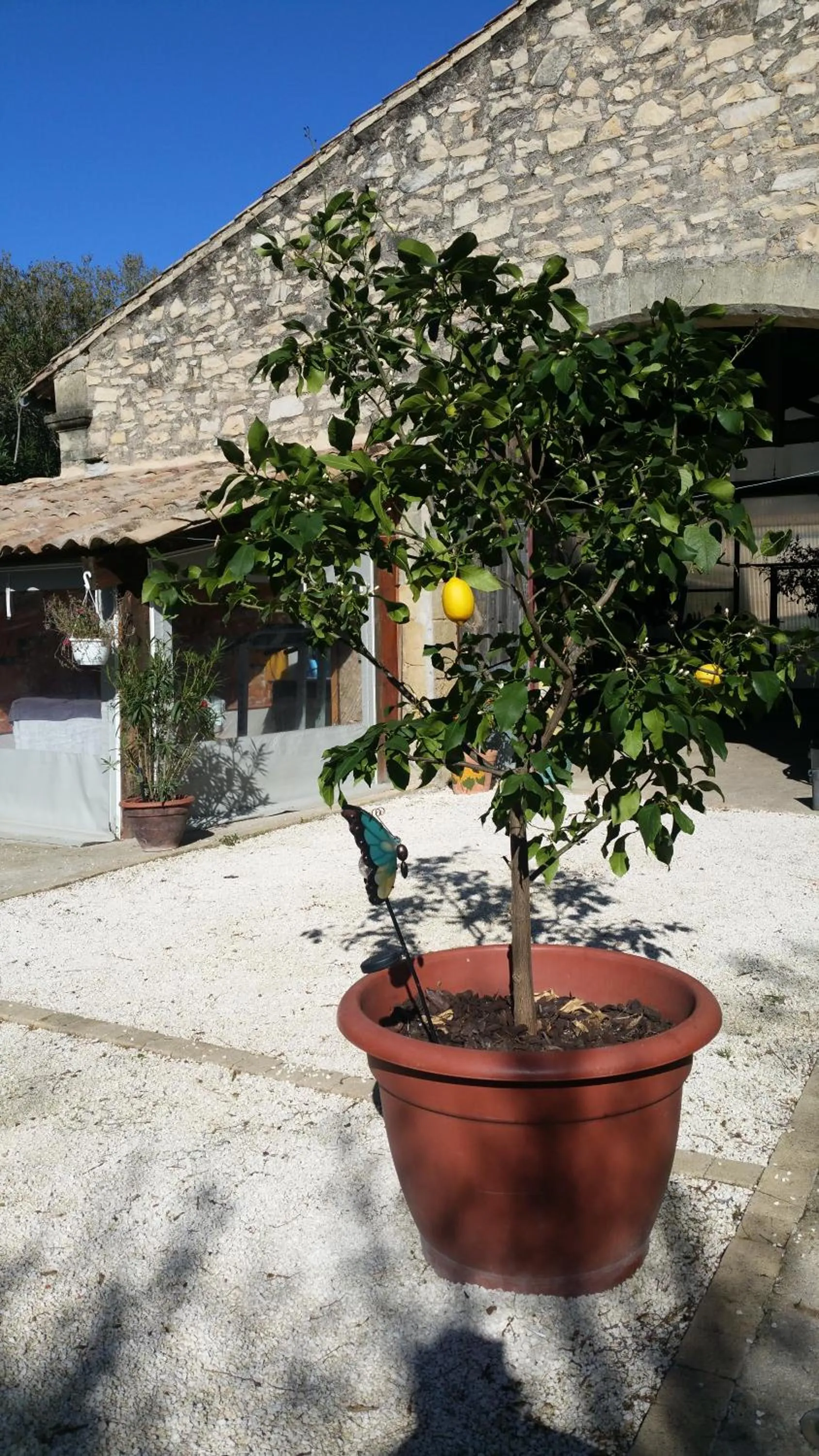 Garden in Le Clos des Aramons