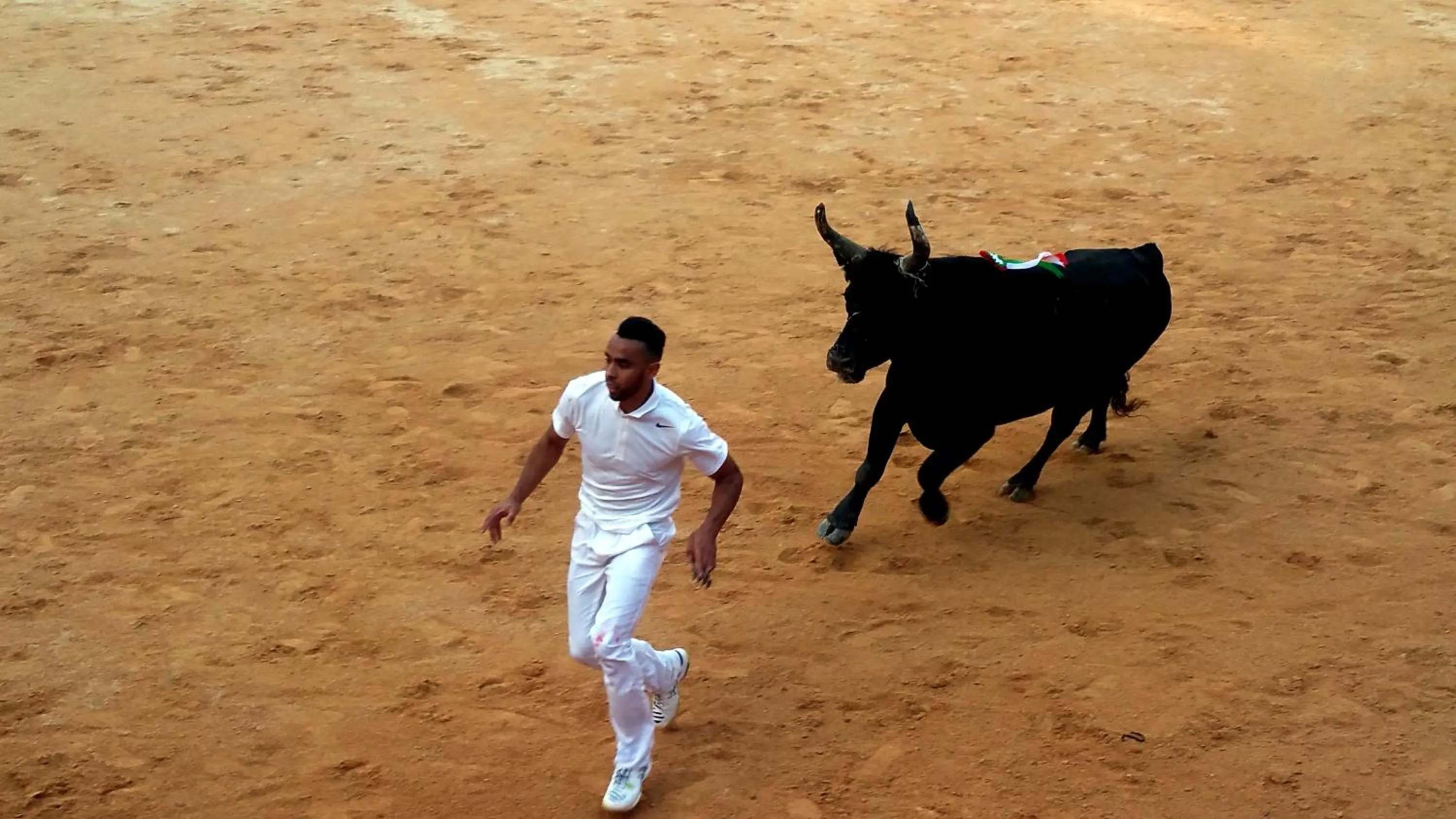 Activities in Le Clos des Aramons