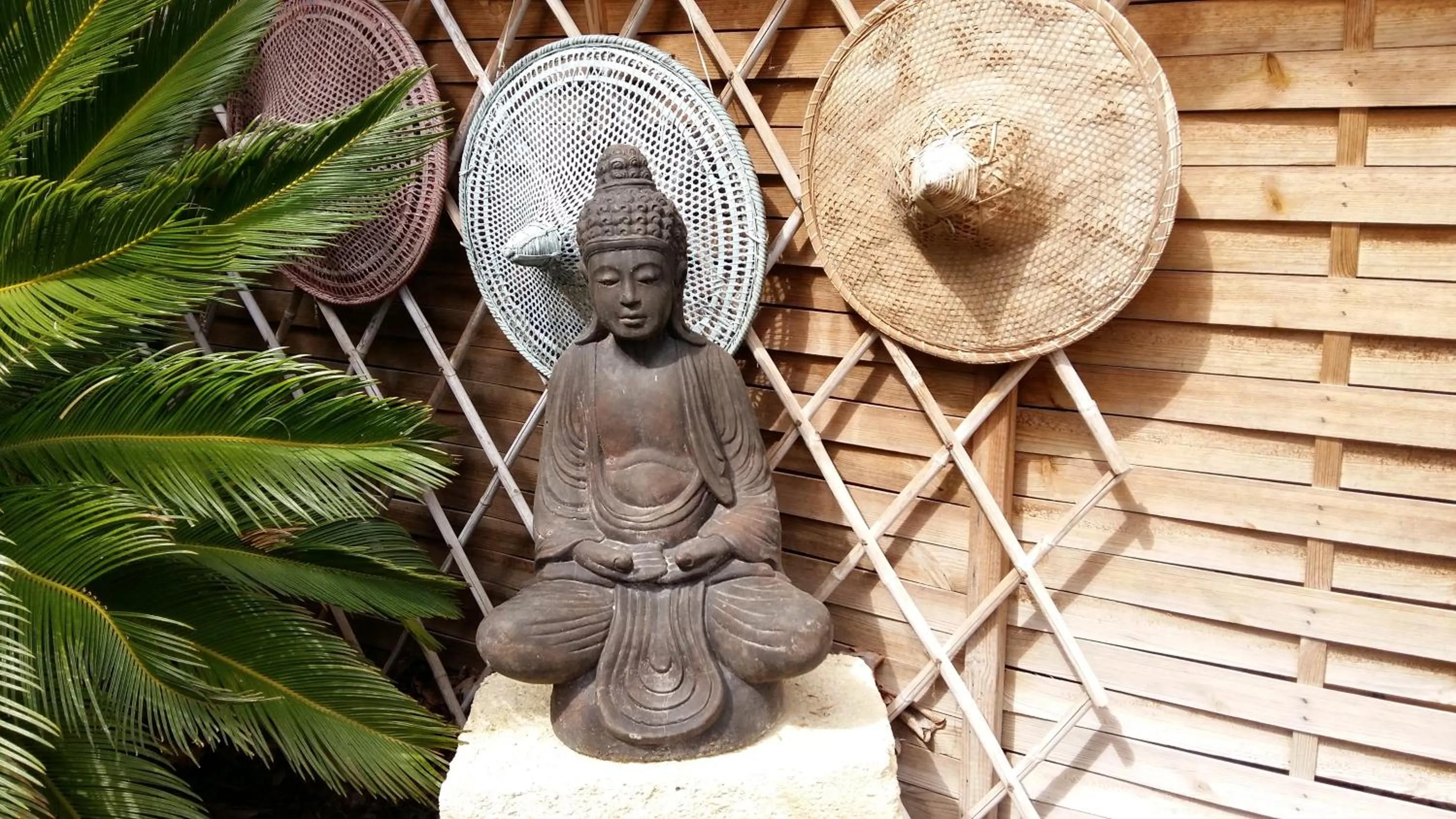 Activities in Le Clos des Aramons