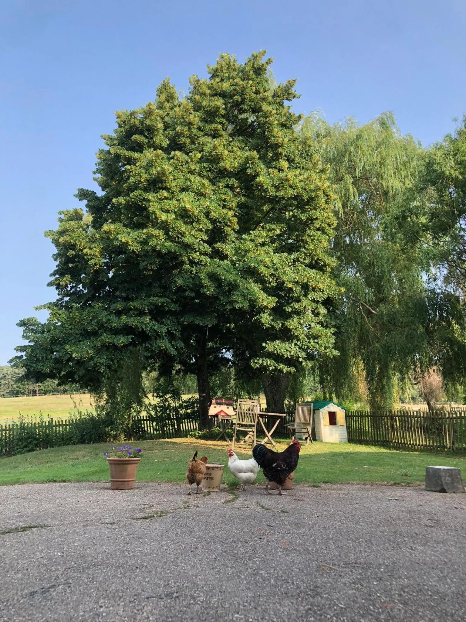 Chambres D'hotes De La Mure