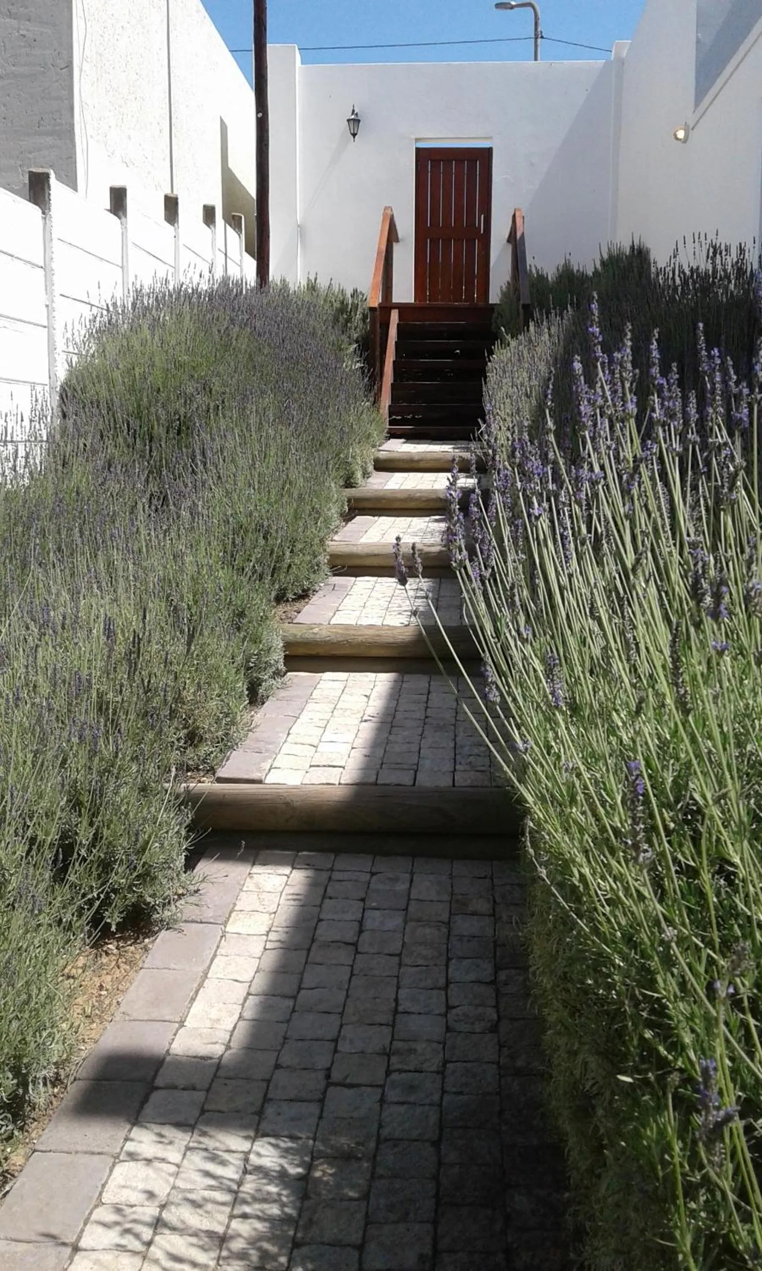 Property building in Lavandula Manor Self-Catering